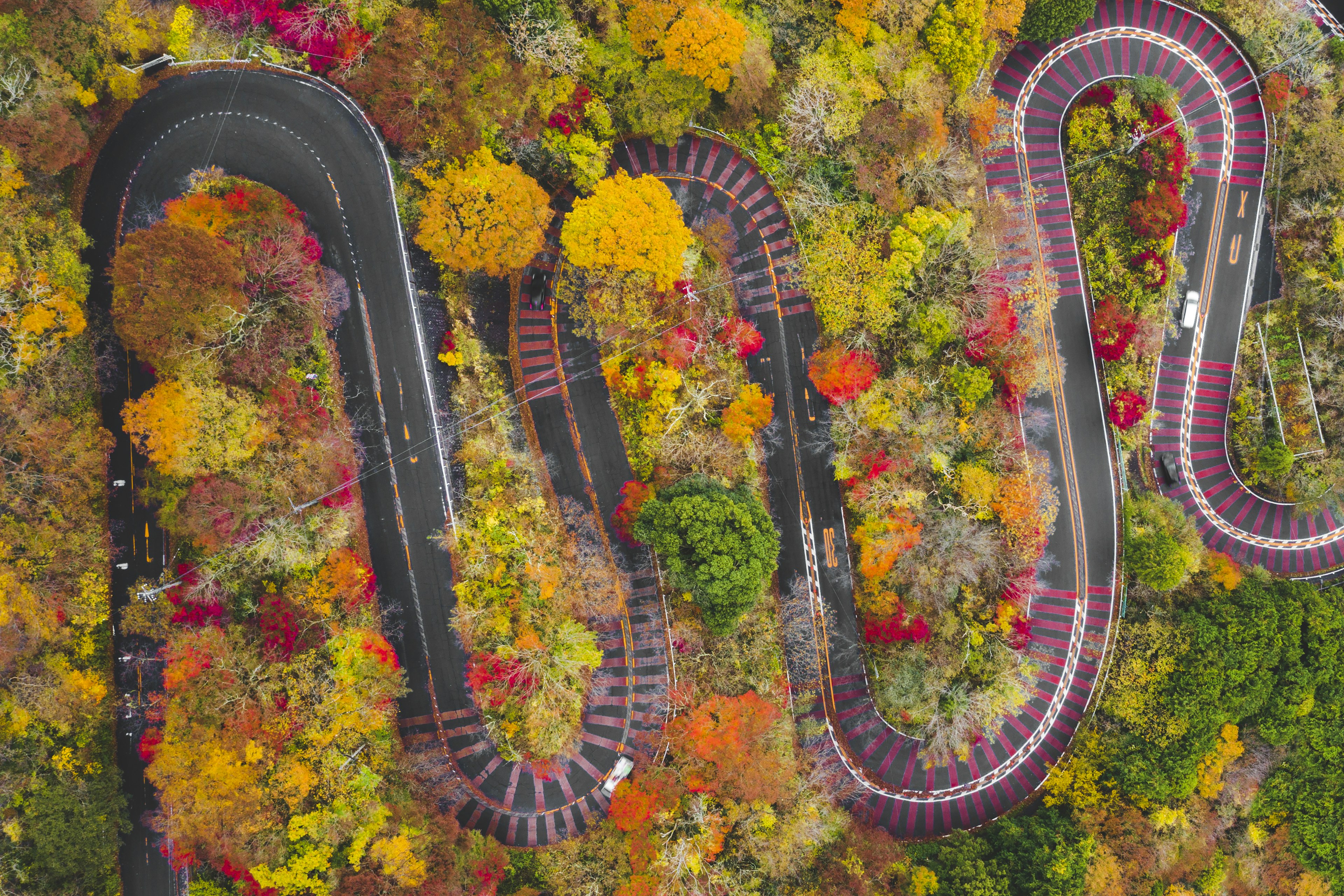 Aerial view of the curves of a scenic mountain road in Fuji-Hakone Izu National Park in autumn, Japan.