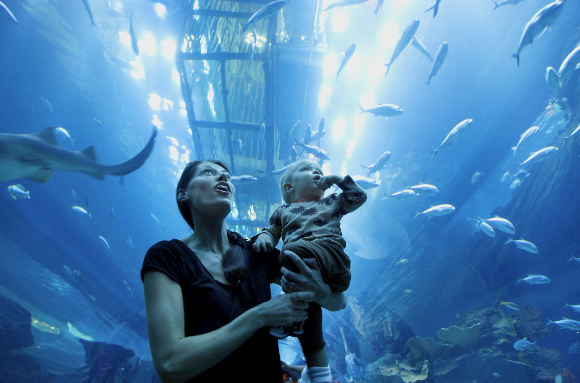 Mother with toddler son look up at the first at the aquarium at Dubai Mall, Dubai, UAE