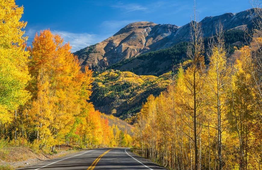 A road passes through bright orange trees, backed by the Rocky Mountains on the Million Dollar Highway in Colorado