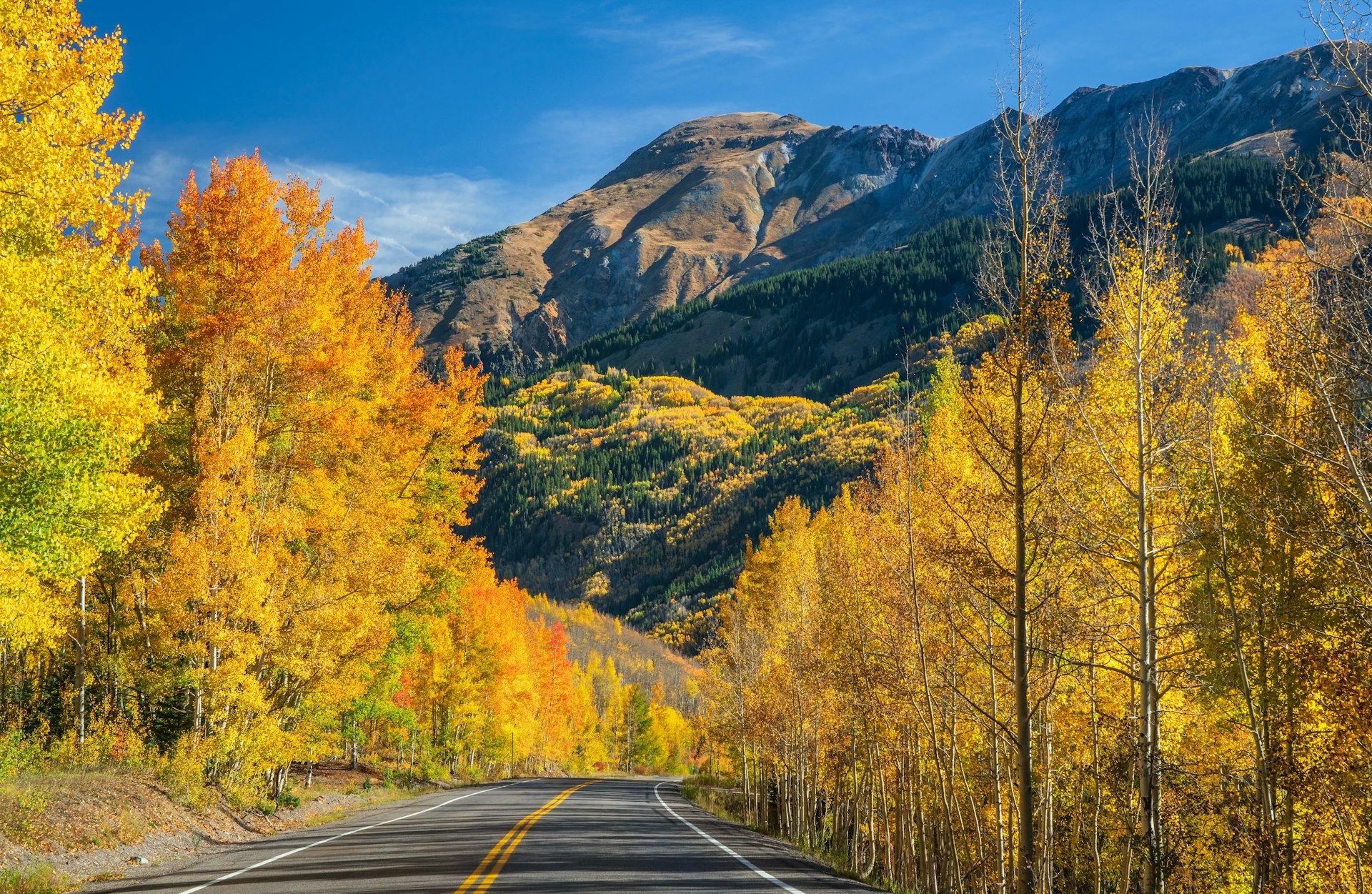 A road passes through bright orange trees, backed by the Rocky Mountains on the Million Dollar Highway in Colorado