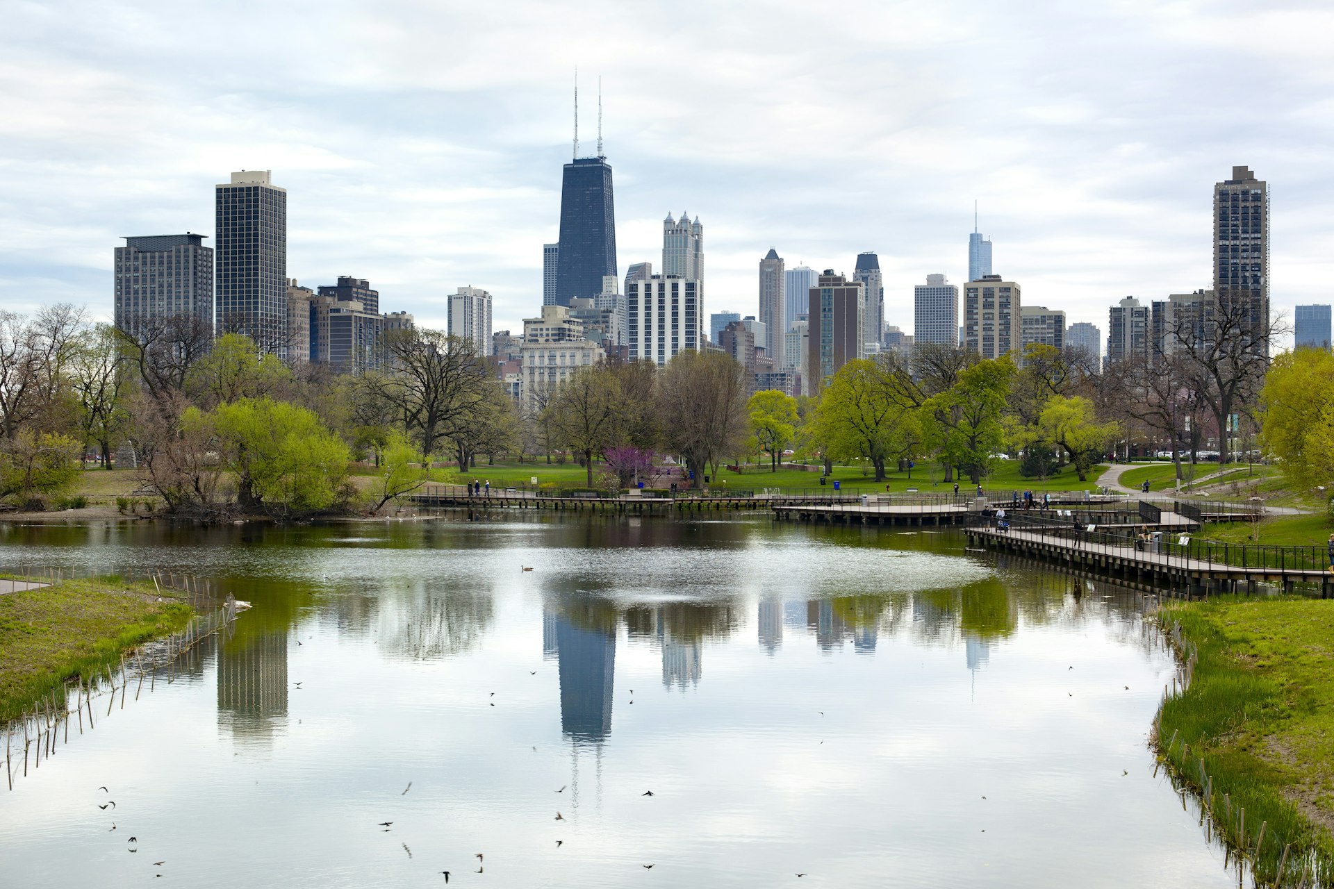 A pond and greenery in Lincoln Park frame the Chicago skyline.