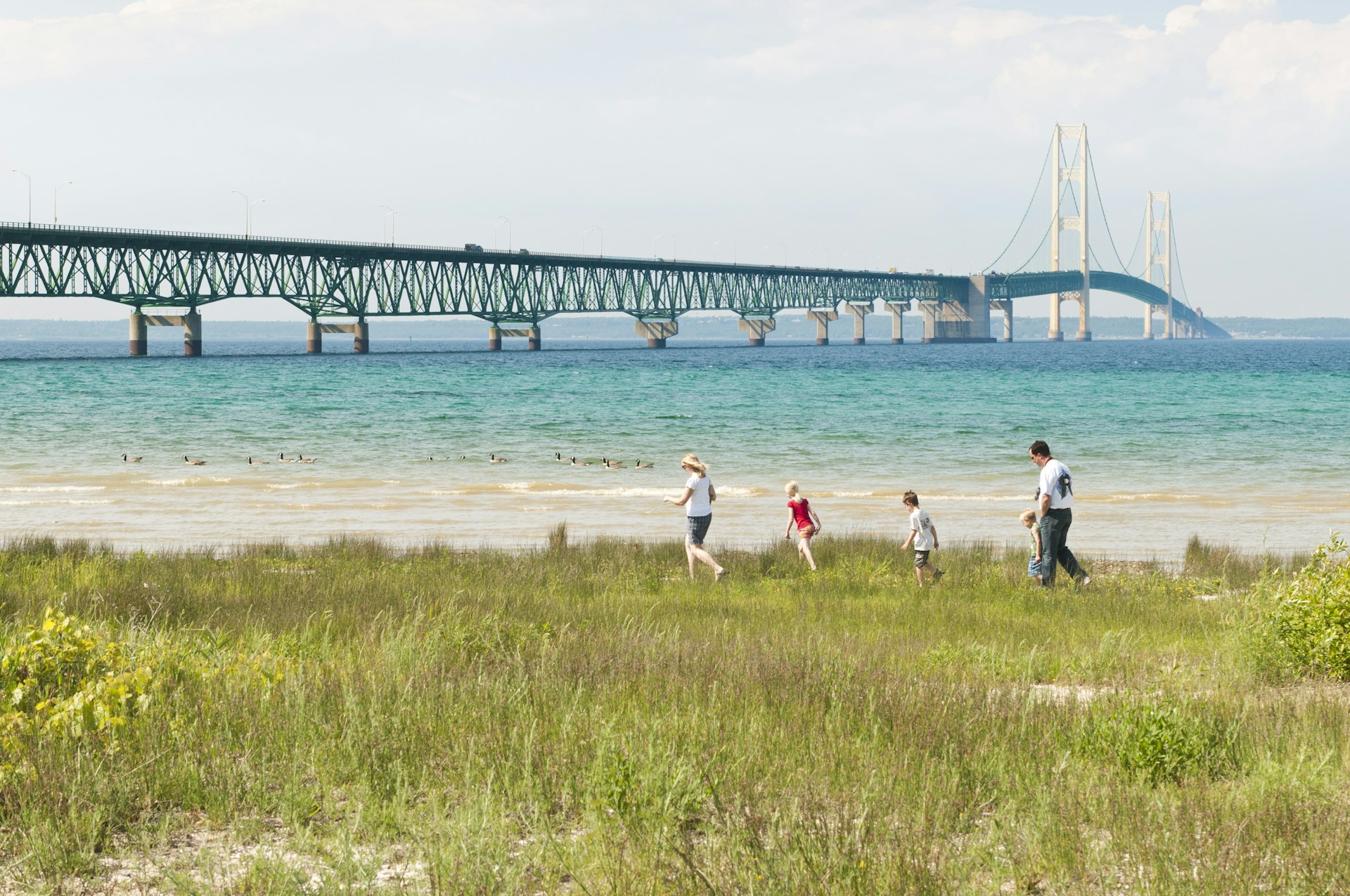 A family walk on the grassy shores of a waterway with a large bridge in the background