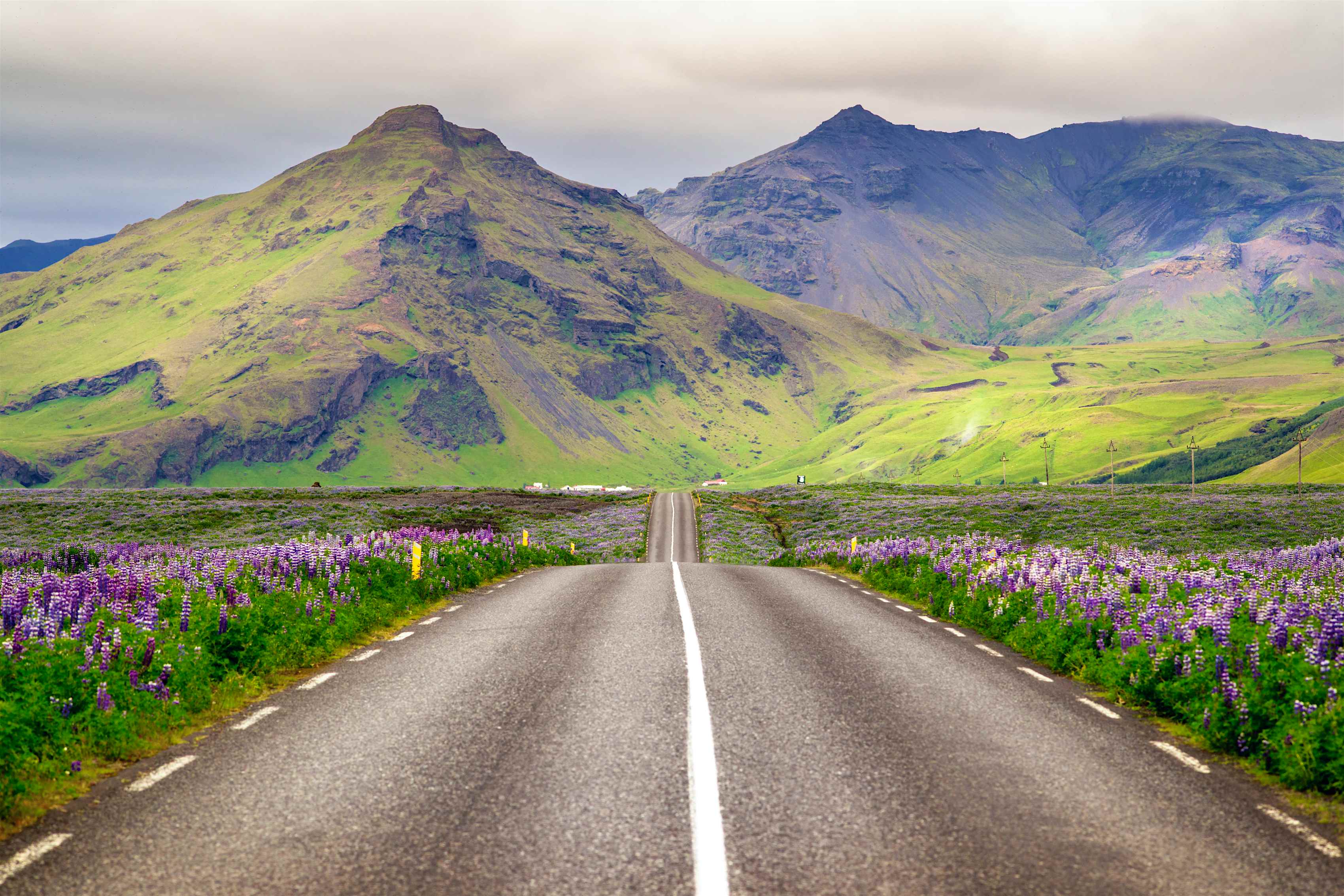 iceland-s-tourism-numbers-are-dropping-and-wow-air-is-to-blame-cond