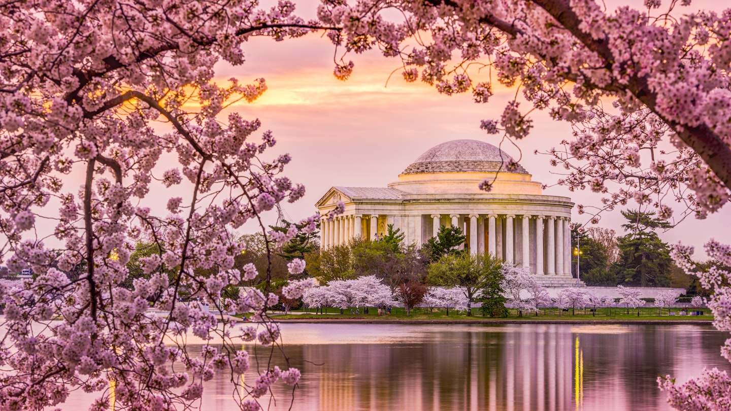 The Tidal Basin and Jefferson Memorial at sunset during the spring cherry blossom season.