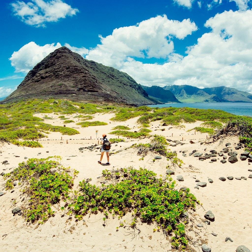Woman hiking on the dunes of Ka'ena Point in Oahu. Hawaii.