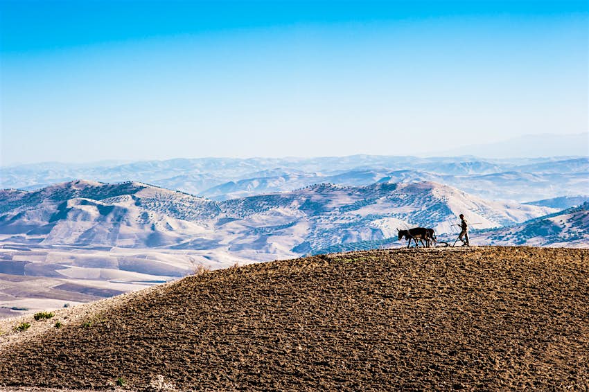 Un agriculteur laboure un champ avec un âne dans les montagnes du Haut Atlas du Maroc