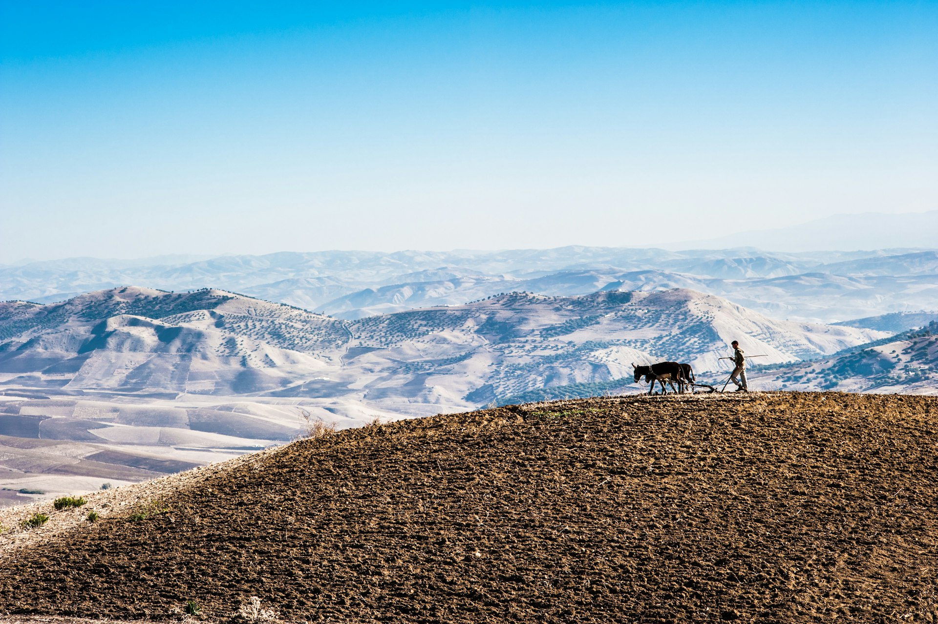 A farmer plows a field with a donkey in the High Atlas Mountains of Morocco