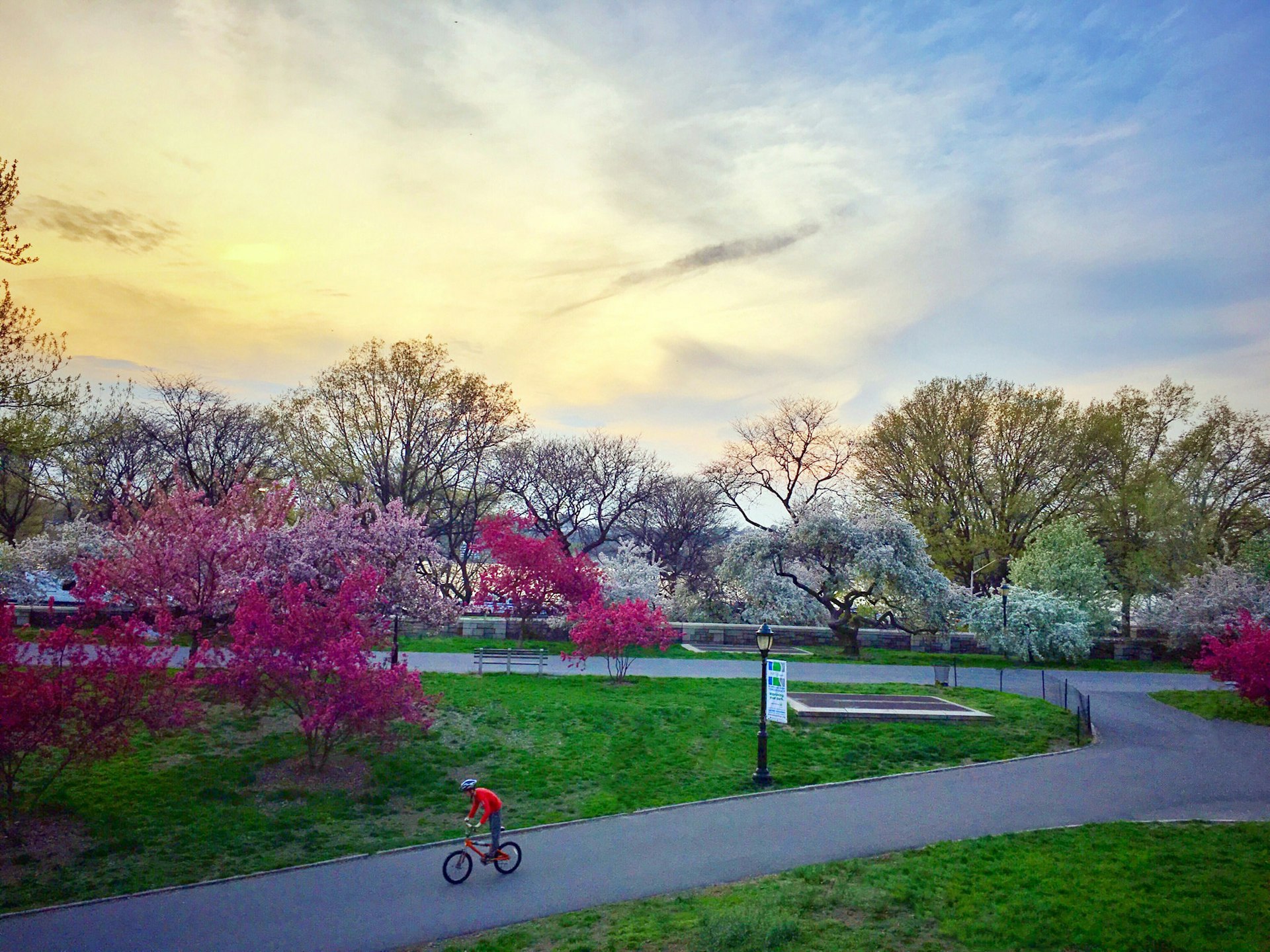 Best parks in New York City Lonely