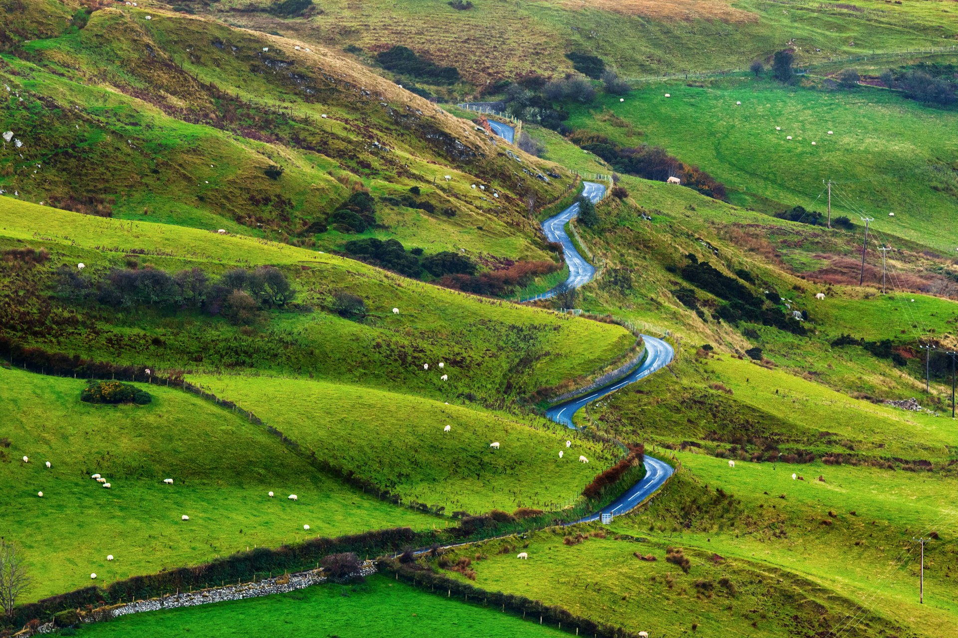 Winding road through the lush green Irish landscape. 