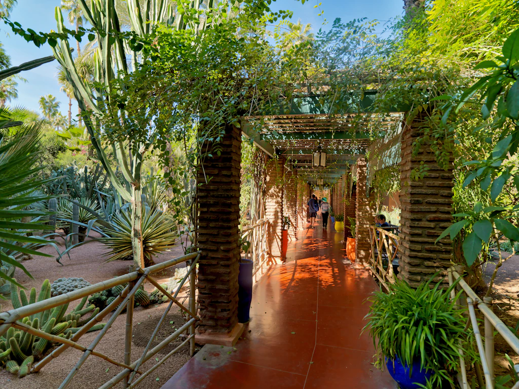 Plants in Jardin Majorelle in Marrakesh, Morocco Plants in Jardin Majorelle in Marrakesh, Morocco