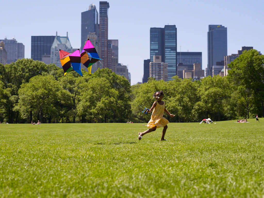 African girl flying kite in park African girl flying kite in park