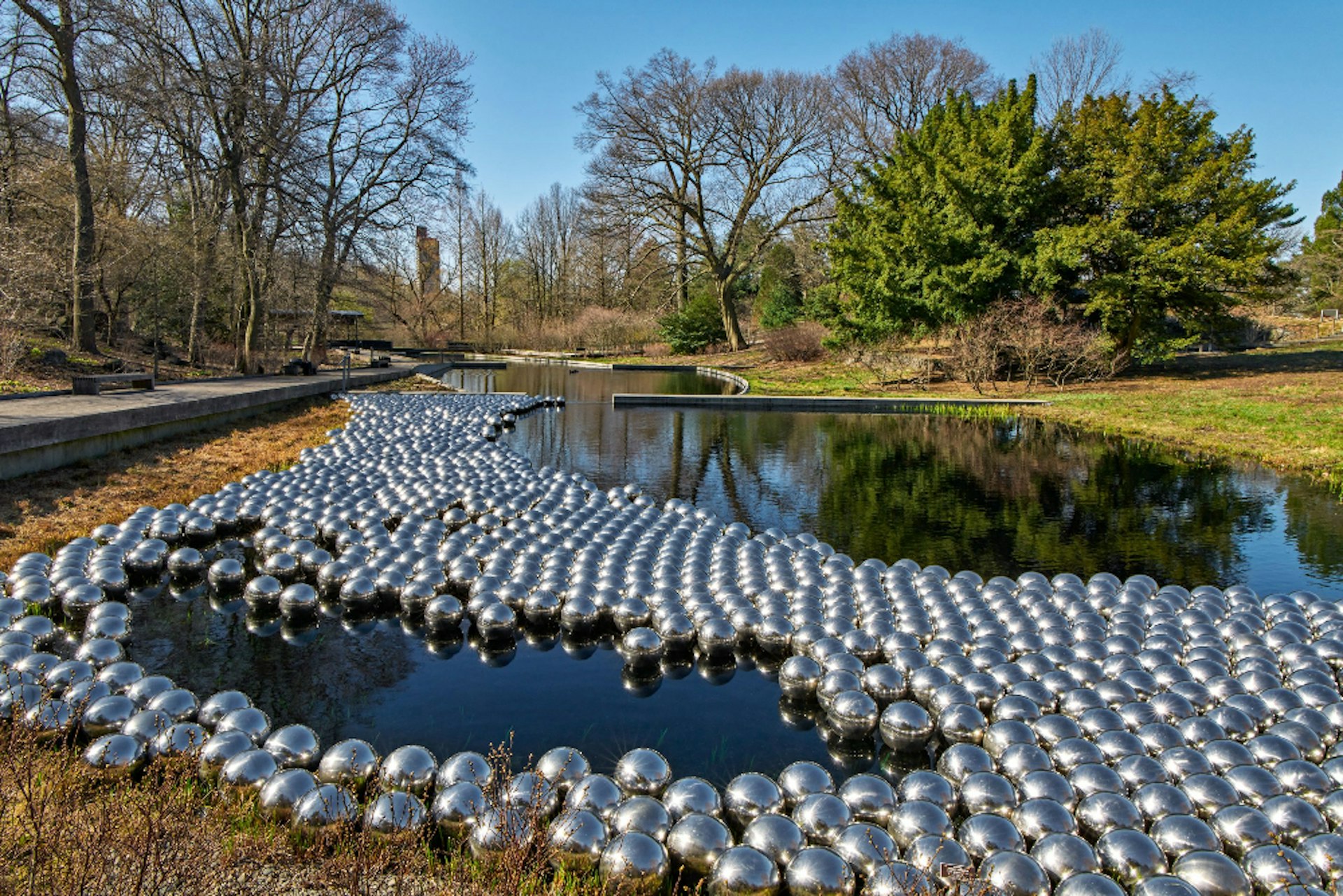 An installation of silver balls in a lake by artist Yayoi Kusama at New York Botanical Garden