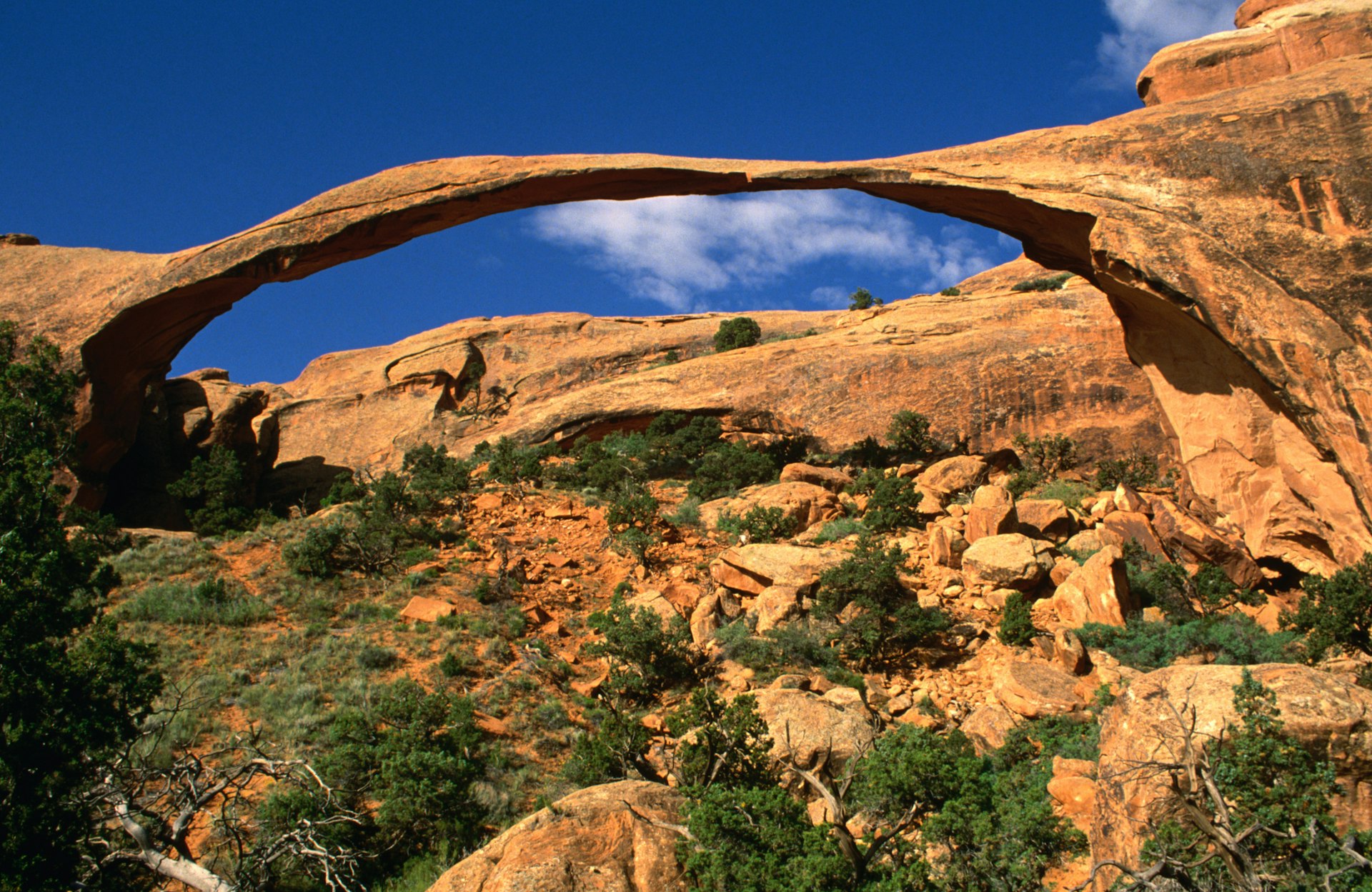 A view of Landscape Arch in Arches National Park