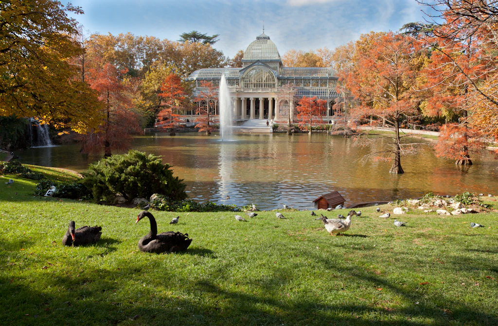 The Crystal Palace in Retiro Park, Madrid, Spain overlooks a small lake with gushing fountains as the surrounding trees turn orange and ochre in autumn withy swans wondering along the grass lawn in the forground