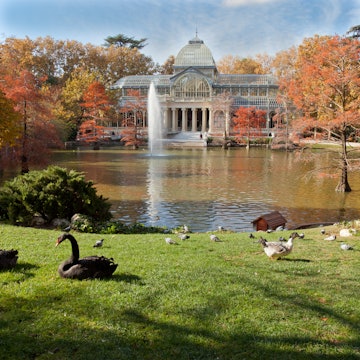 Crystal Palace in Retiro Park, Madrid, Spain