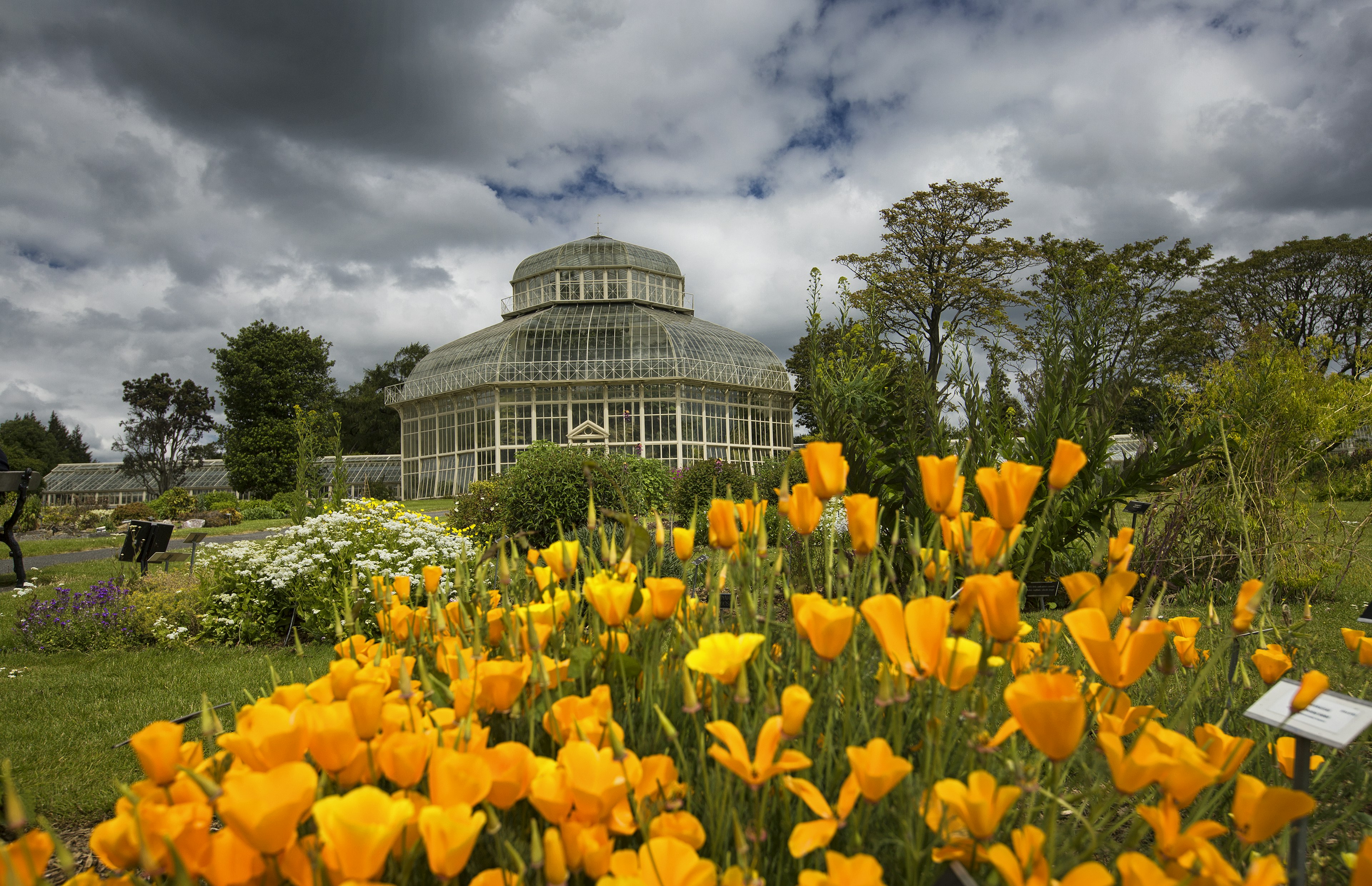 The greenhouse at the National Botanic Gardens in Dublin