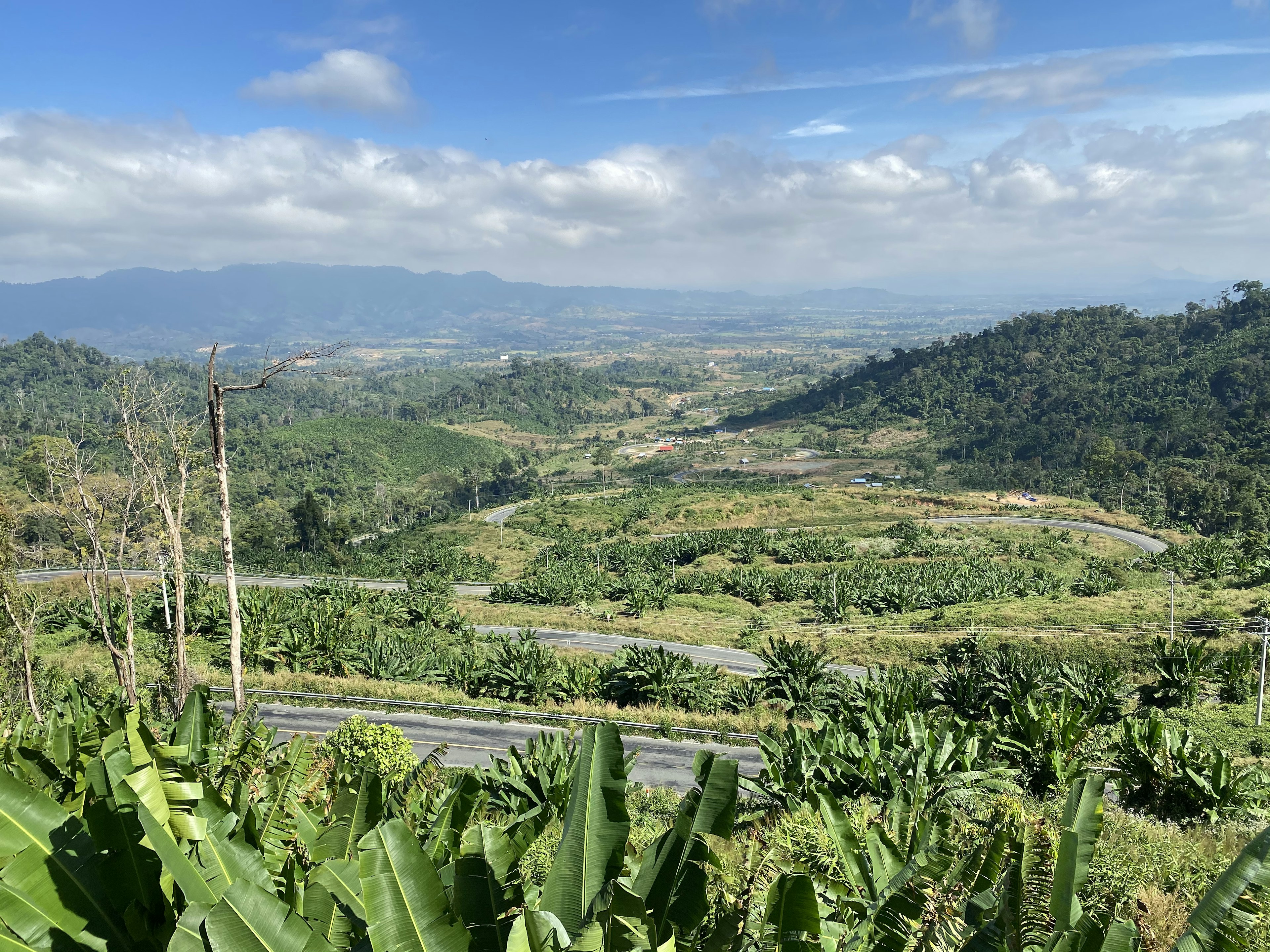 National Highway 55 in the Cardamoms.jpeg