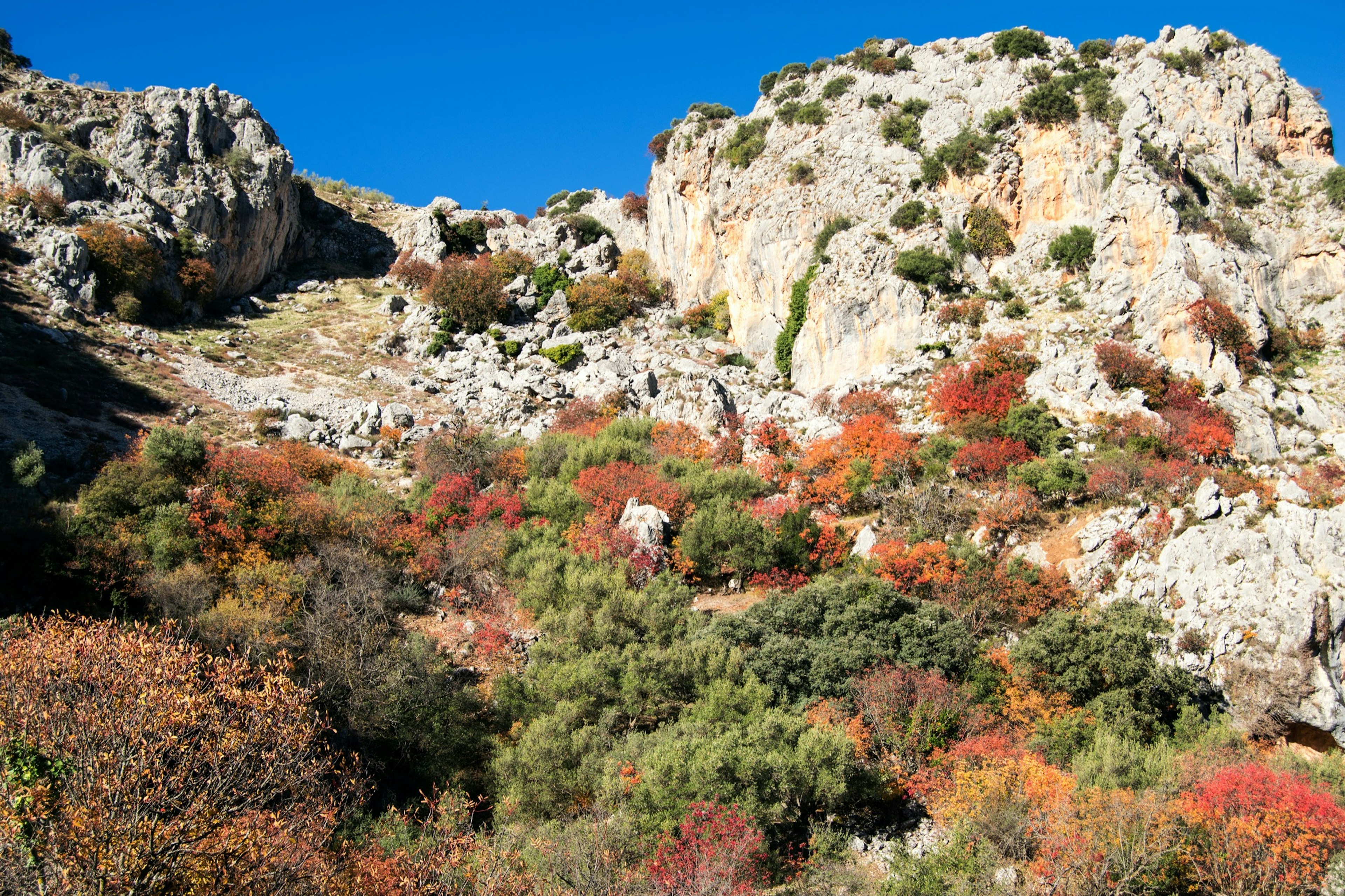 Spain_OTBT_Sierras_Subbeticas.jpg