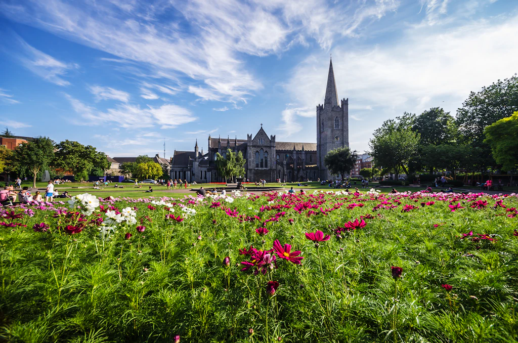 St Patrick's Cathedral and St Patricks Park on a summer day with wildflowers in bloom