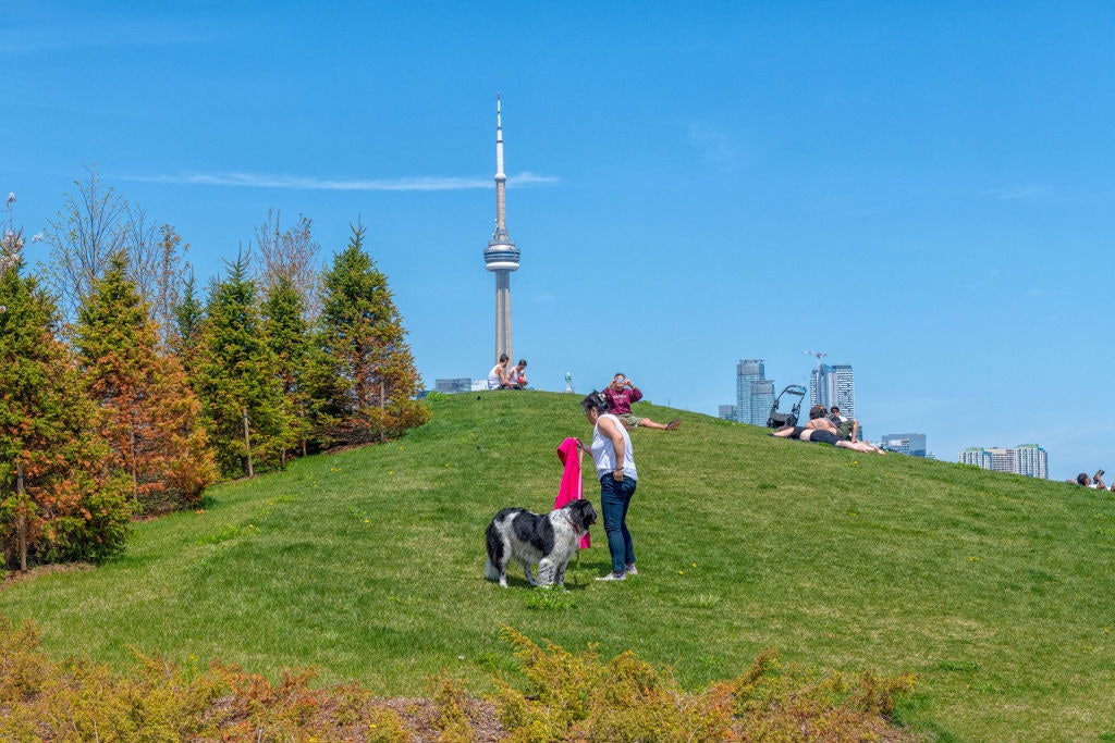 Trillium Park in springtime. The CN Tower is in the background