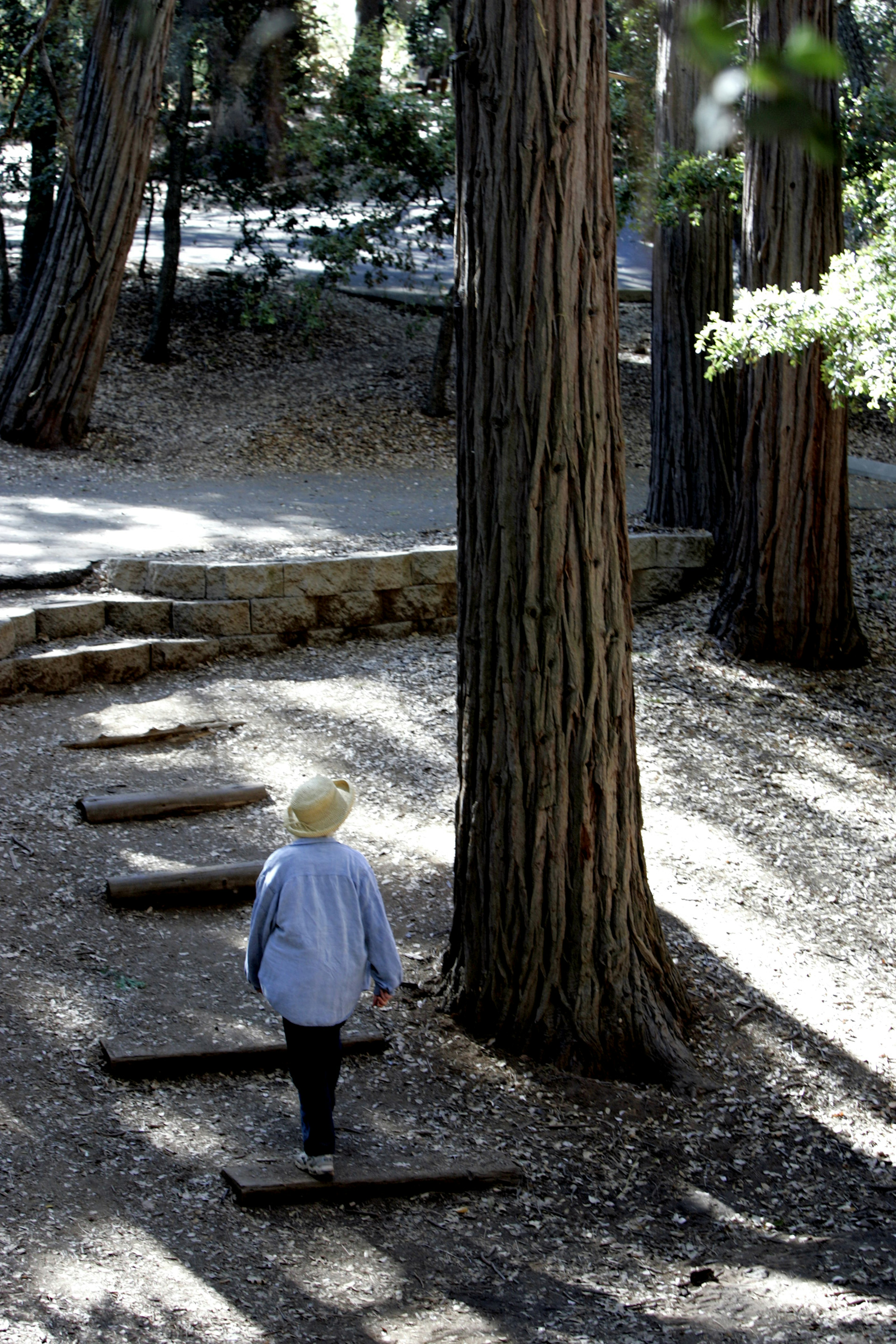 Best for camping: William Heise County Park in San Diego