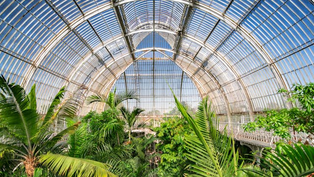 August 2017: Palm garden at a greenhouse in Kew Royal Botanic Gardens.