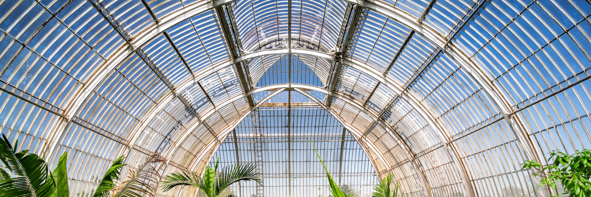 August 2017: Palm garden at a greenhouse in Kew Royal Botanic Gardens.