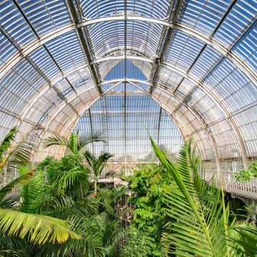 August 2017: Palm garden at a greenhouse in Kew Royal Botanic Gardens.