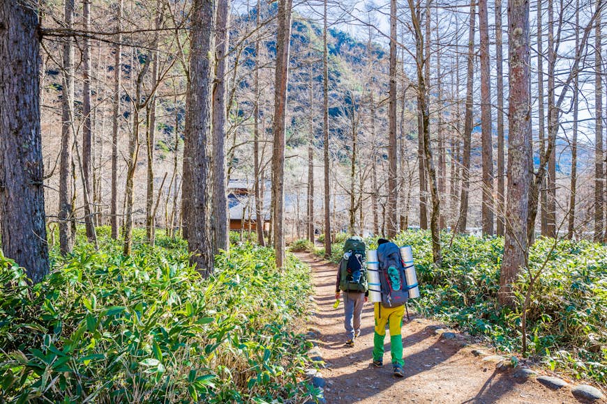 Två vandrare med stora ryggsäckar går längs en stig genom tjock skog i Kamikochi, Japan.