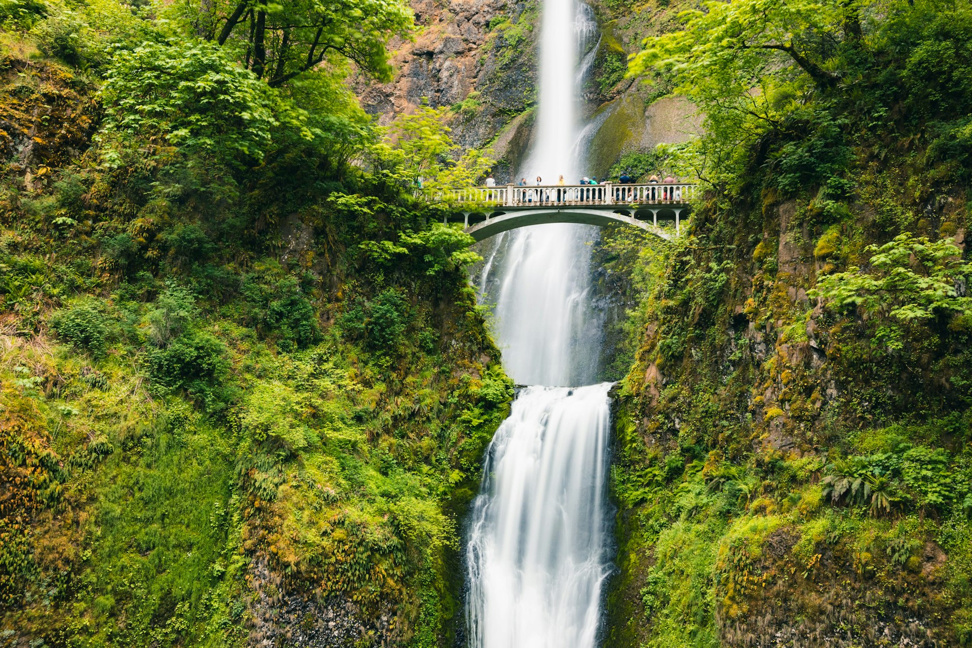 Visitors on a bridge at Multnomah Falls, surrounded by lush greenery