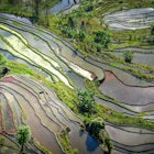 Terraced rice fields in Yuanyang with reflection of the sky causing water in the terraces to appear colourful in Yunnan Province of China.