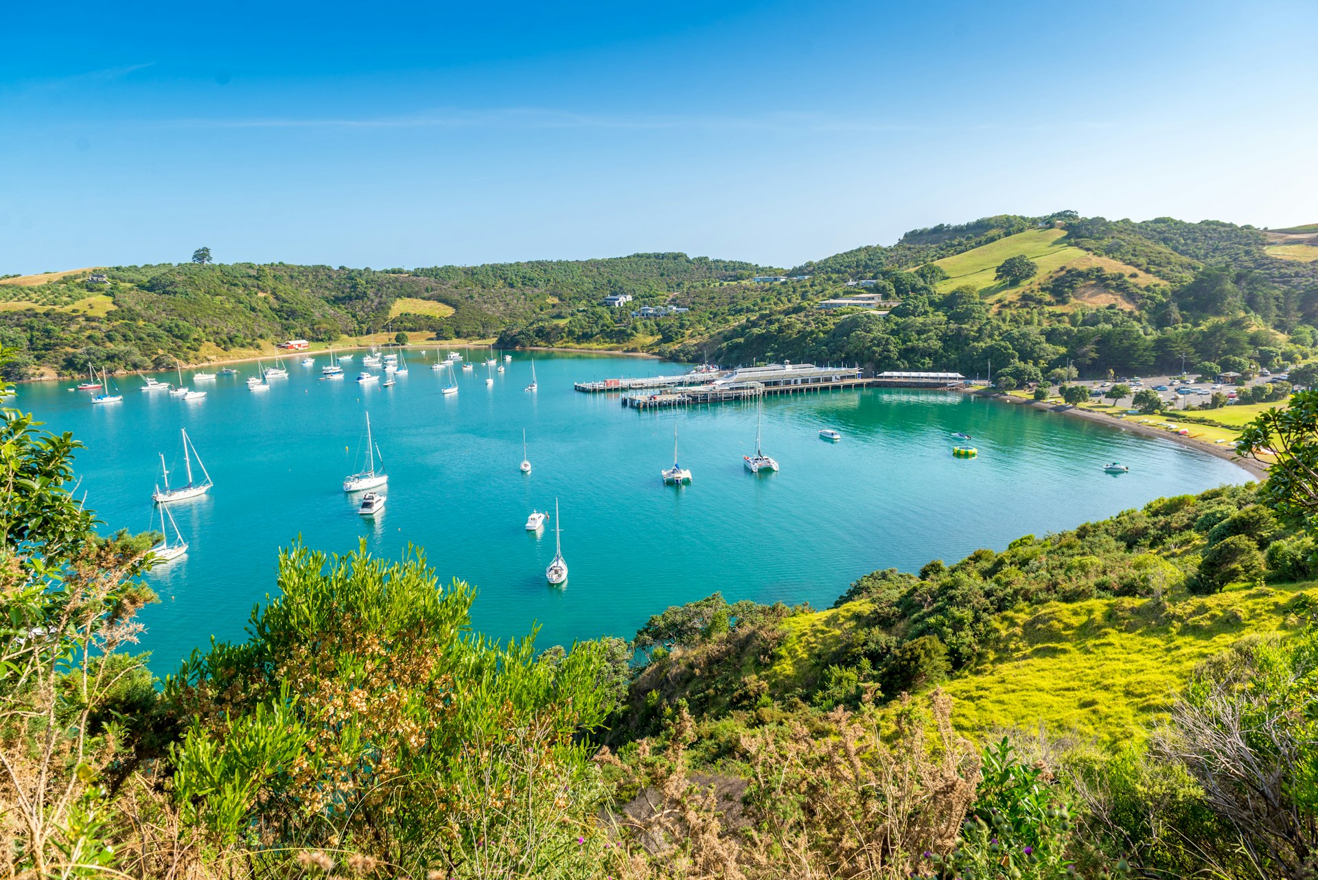A beautiful bay is filled with boats on a sunny day. 