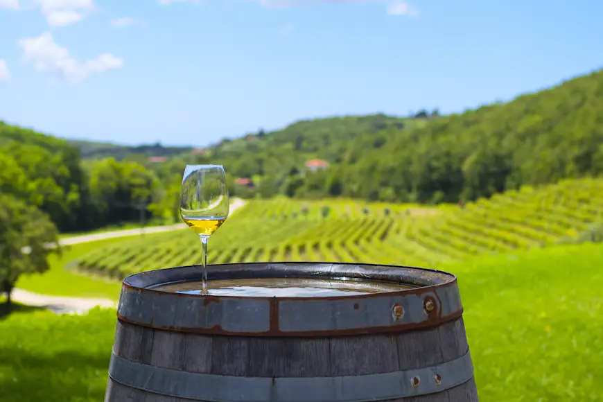 Que ver en Croacia Una copa de vino blanco en un barril de madera en un viñedo en Istria, Croacia