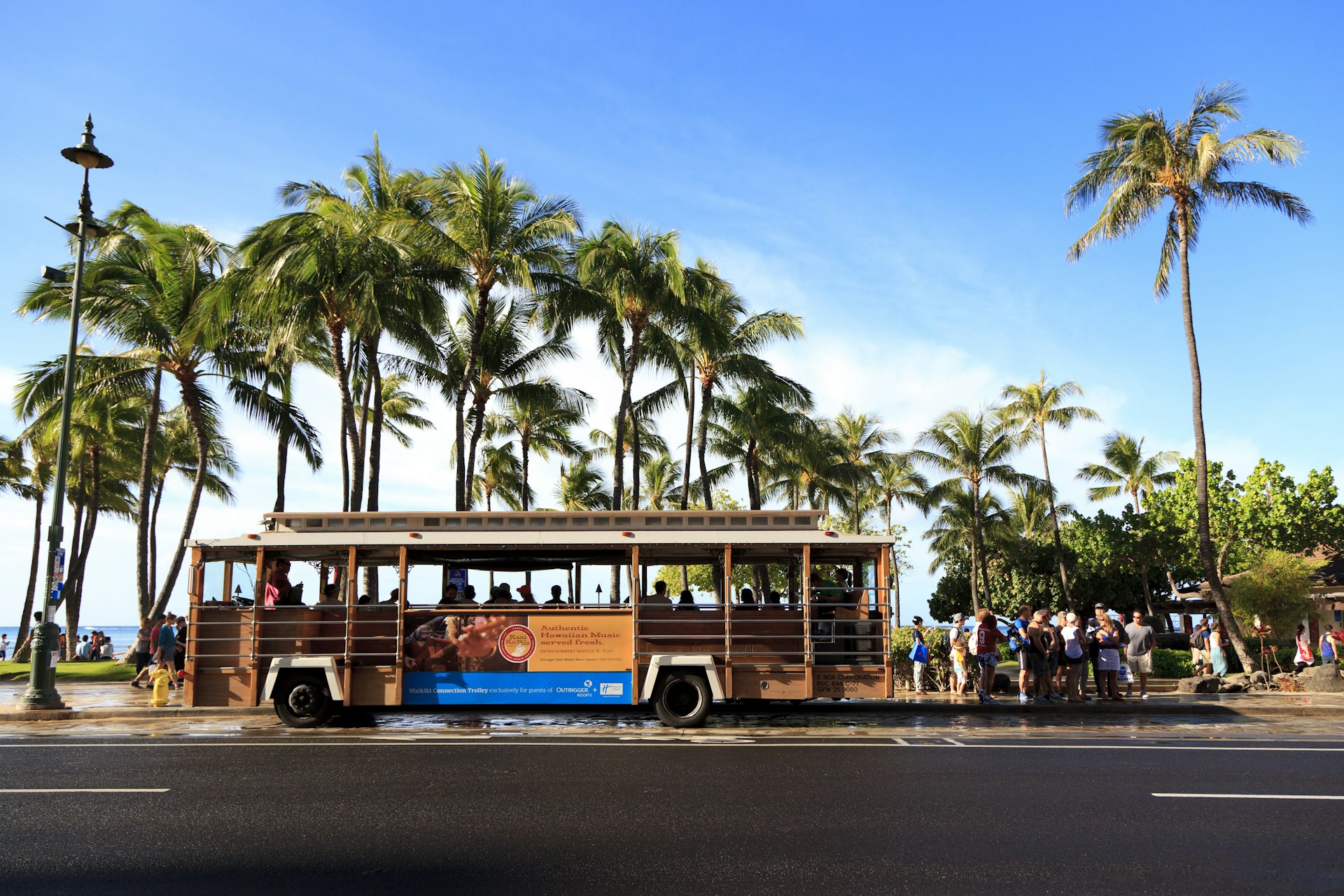 A Waikiki Trolley stops in front of some palm trees in Hawaii. 