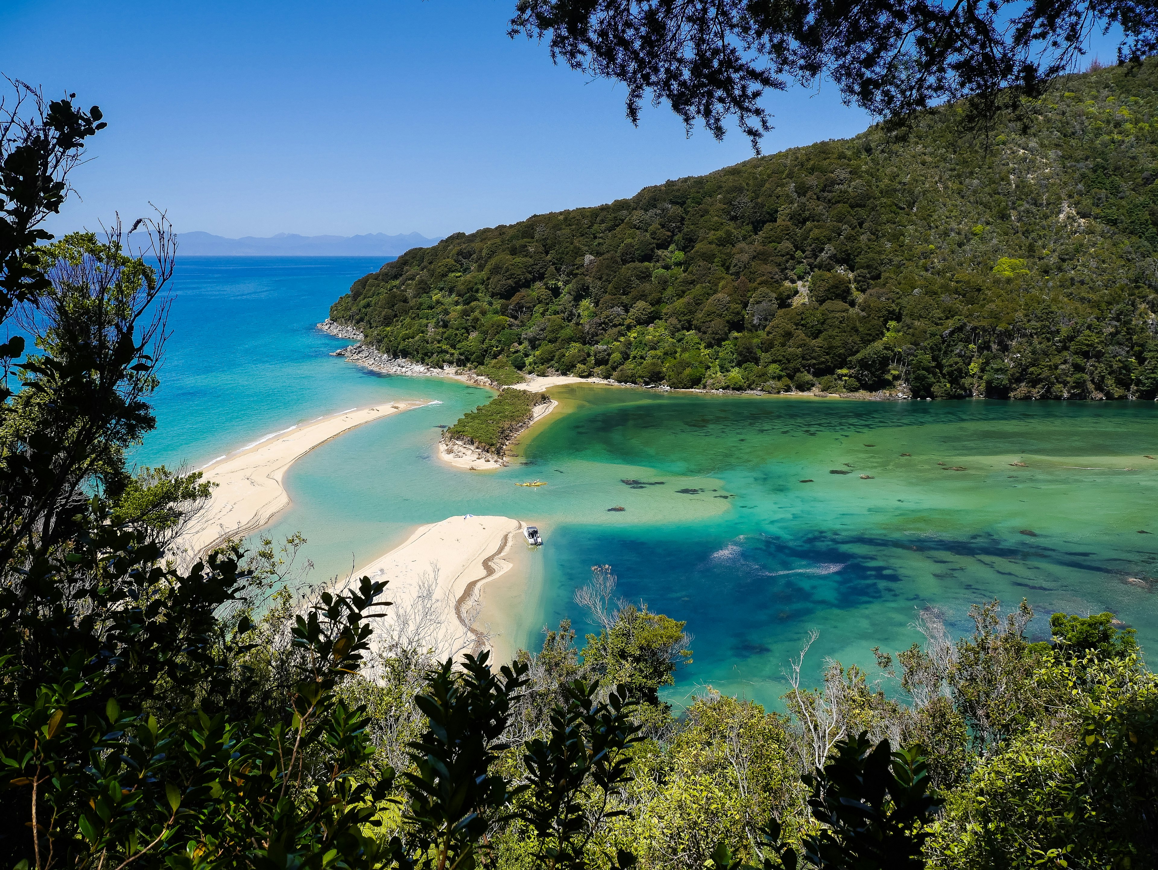 Bright blue water in a lagoon at Abel Tasman National Park in New Zealand