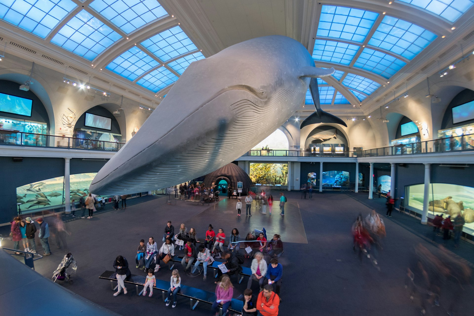 Long exposure of visitors inside the Natural History Museum's Hall of Ocean Life with the giant blue whale.