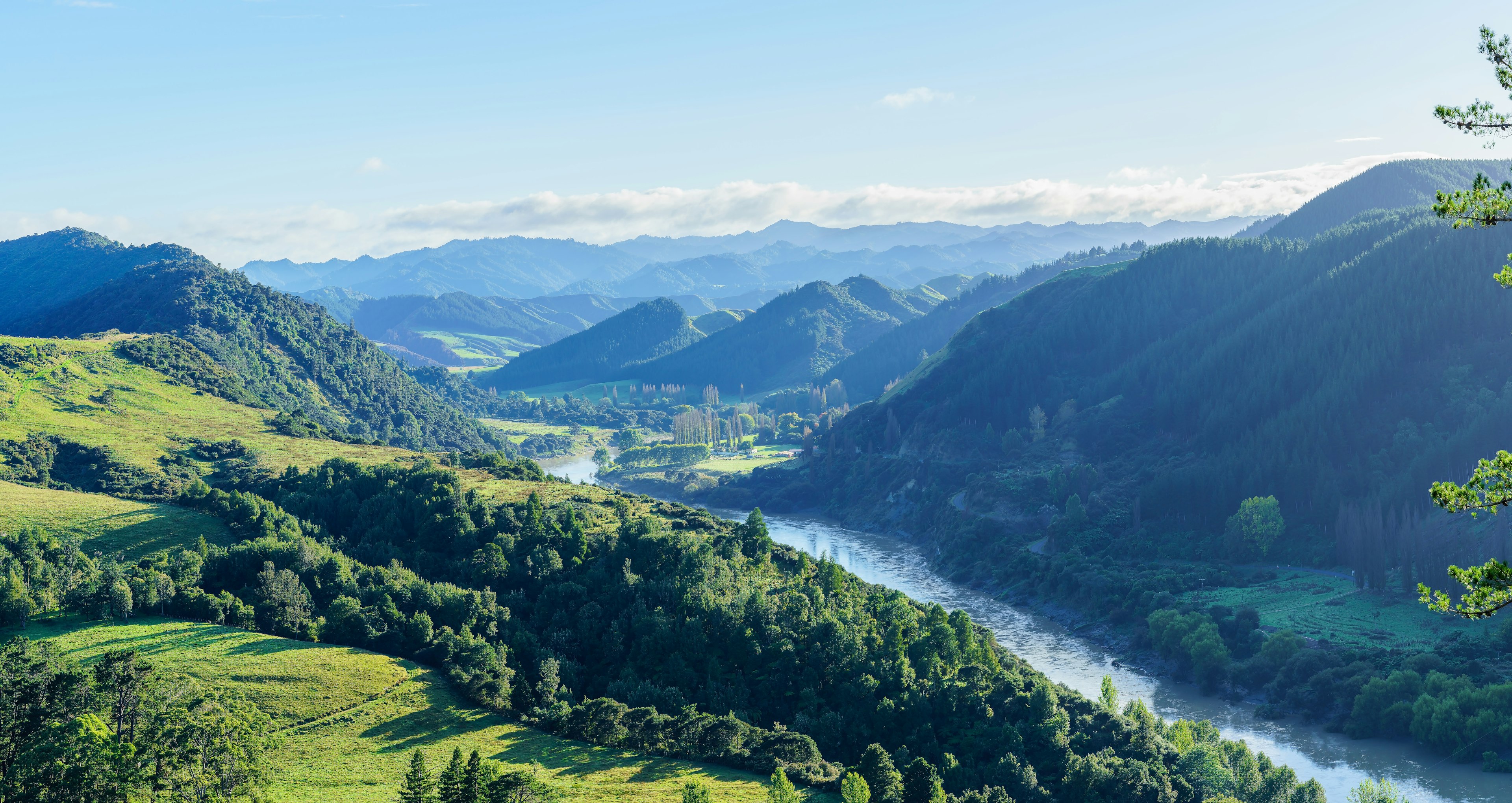 Panoramic beautiful scenery of Whanganui river road