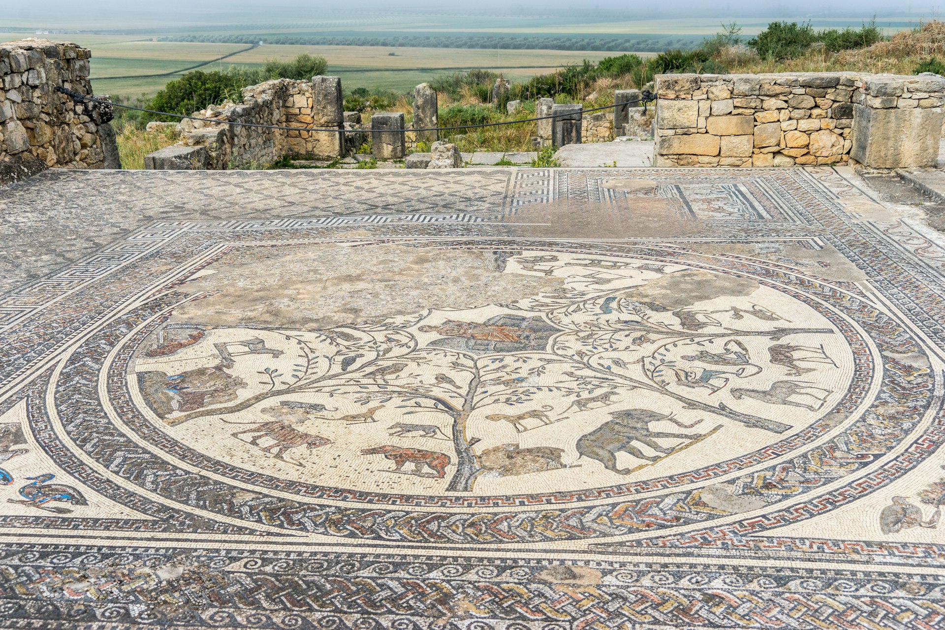 Mosaic floor in the Volubilis ruins, Morocco