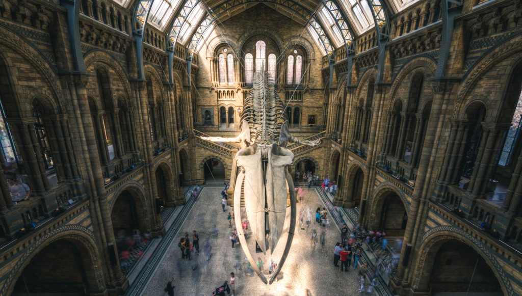 A blue whale skeleton suspended from the ceiling in a massive cathedral-like room.