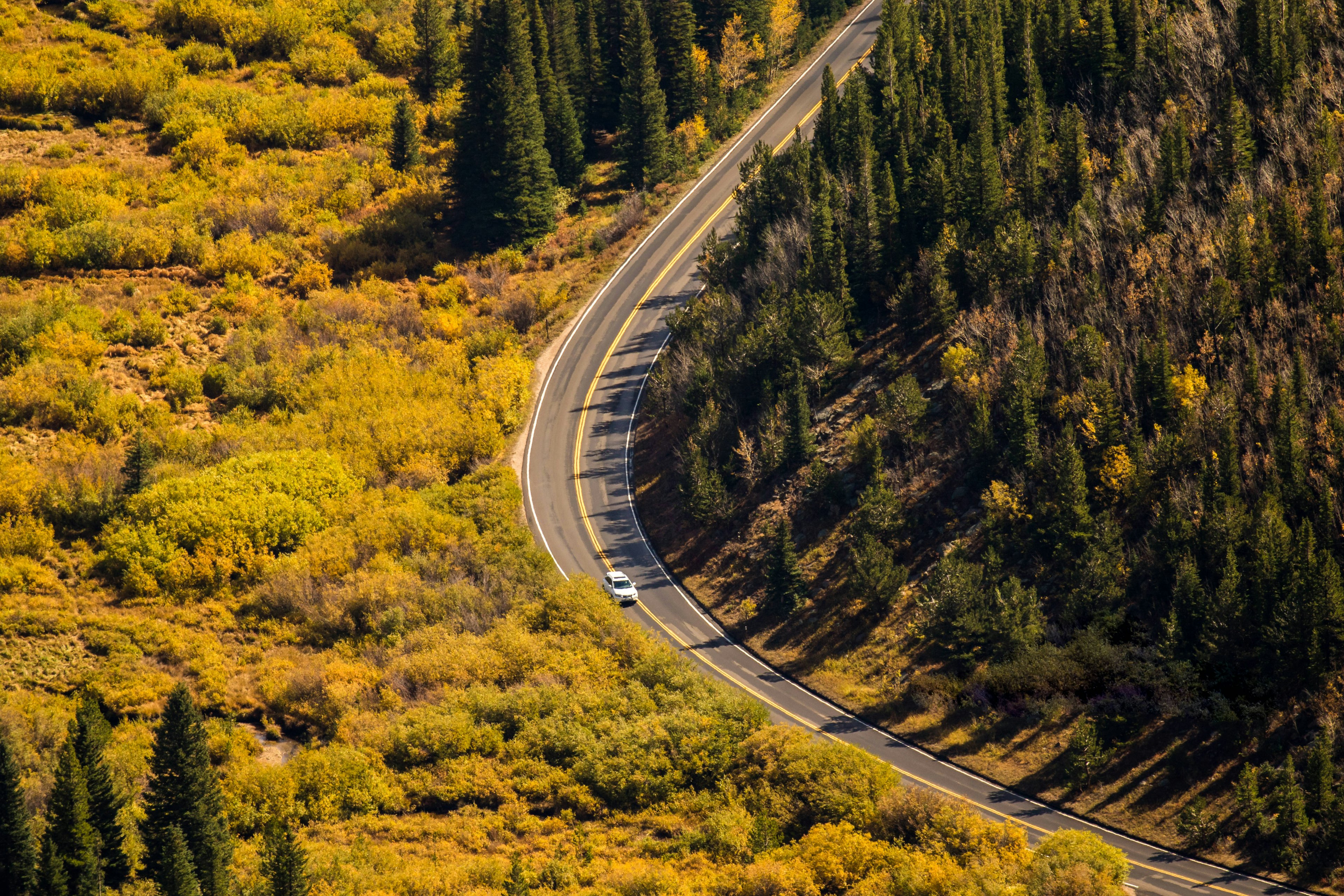 Feel nature on all sides on the Trail Ridge Road. Bob Pool/Shutterstock