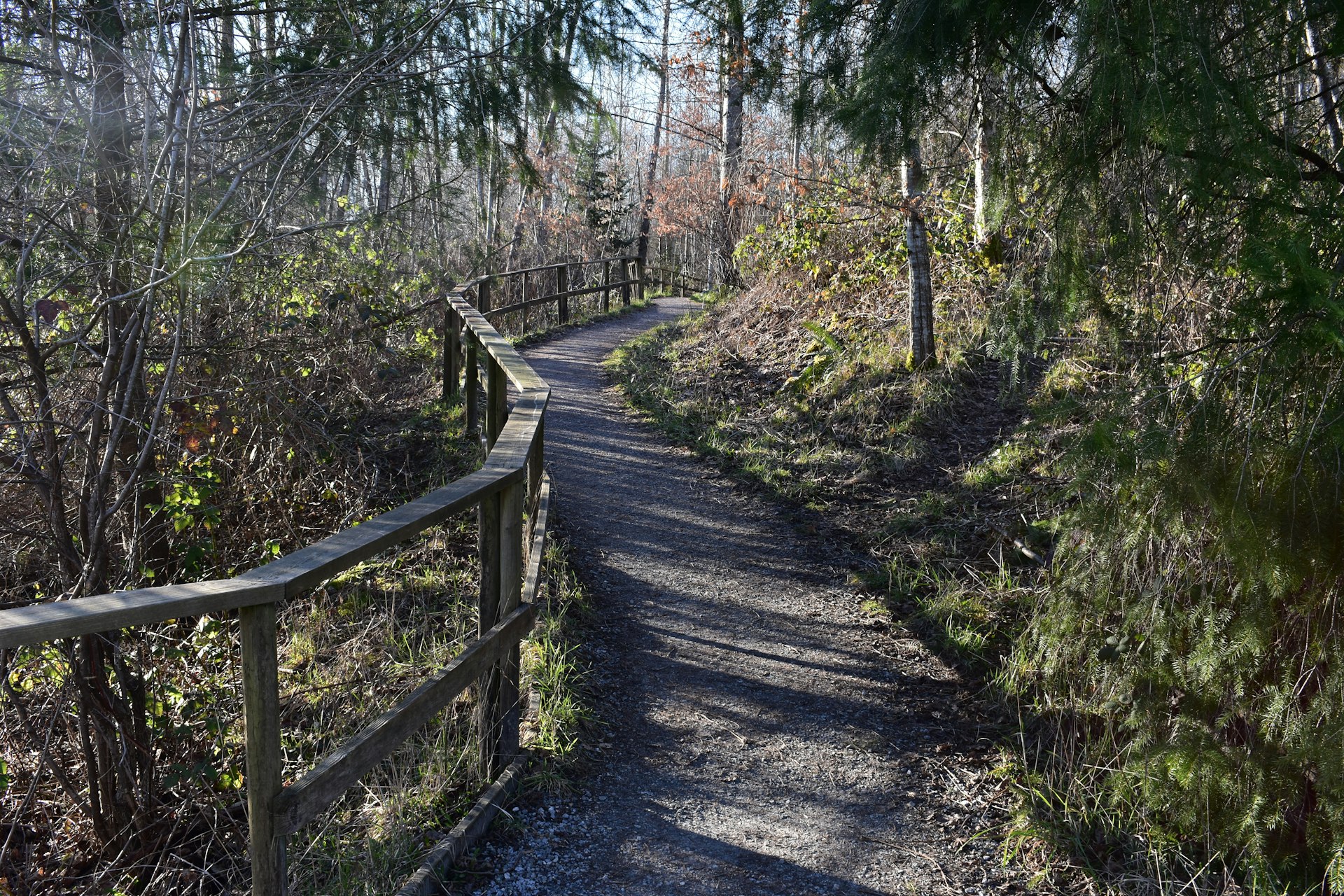 Walking trail through Maplewood Flats Conservation Area in Vancouver, Canada