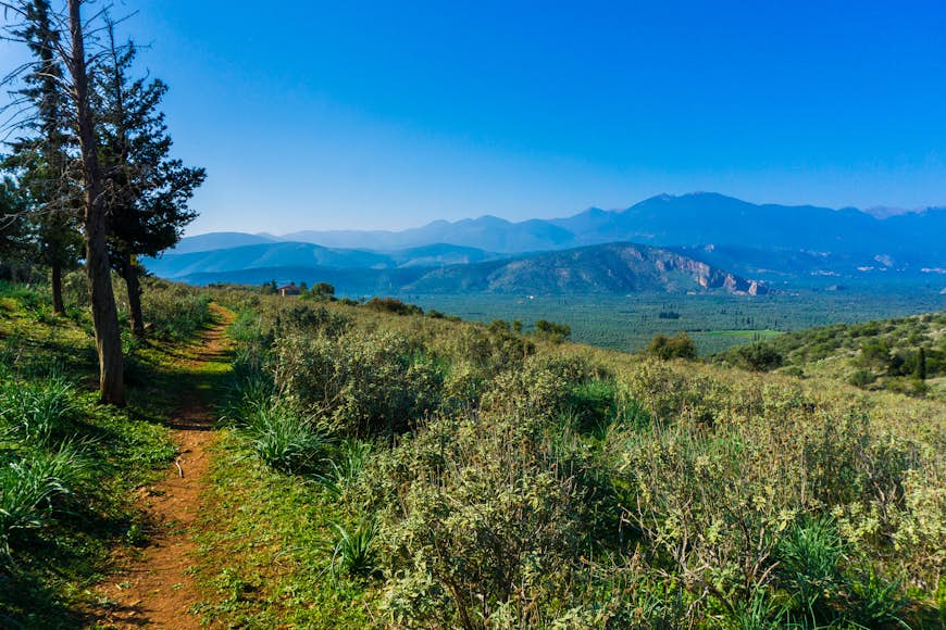 A narrow hiking path heads off into the distance next to a thicket of forest in Parnassos National Park. The track is surrounded by lush vegetation, and in the far distance multiple mountains are visible.