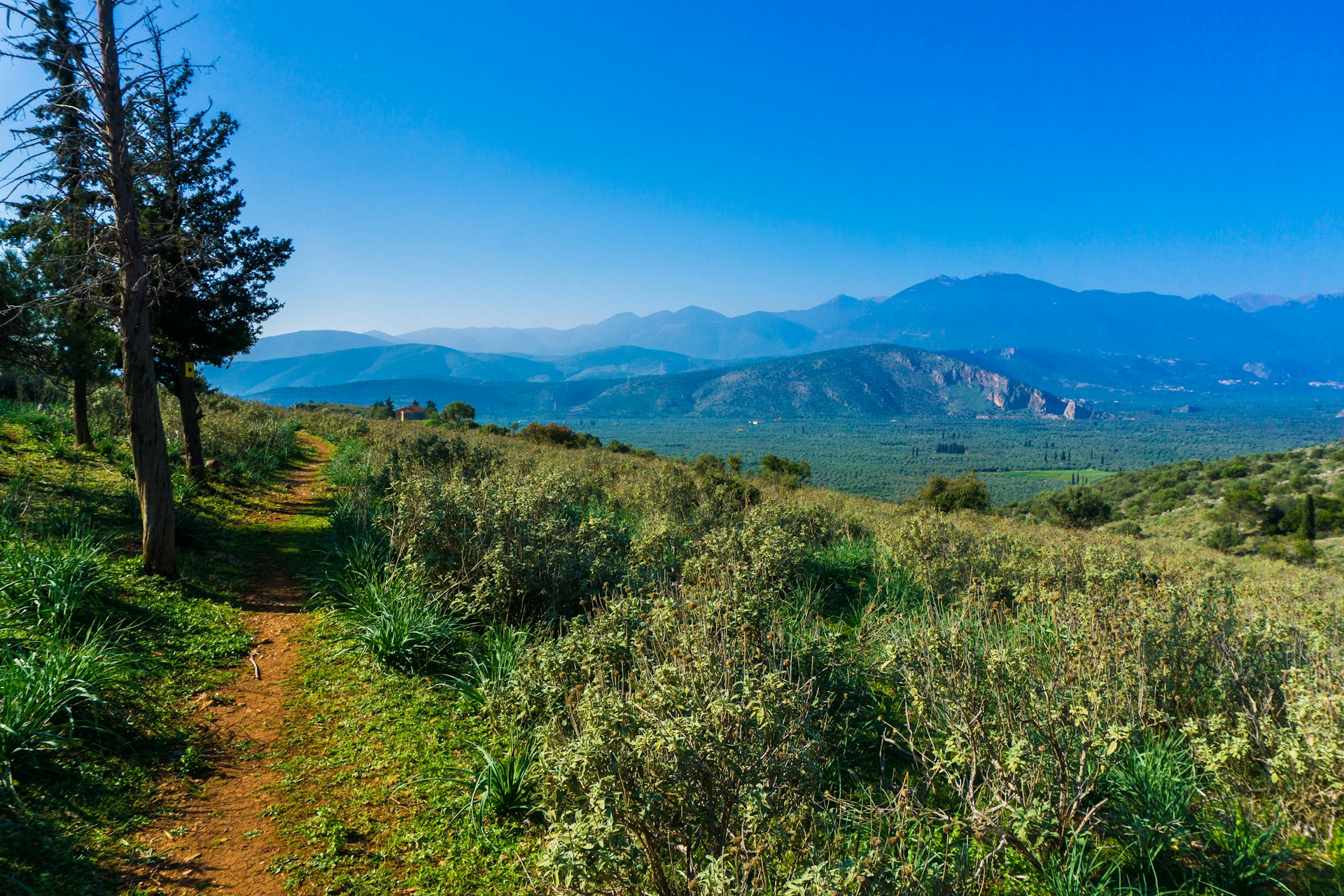A narrow hiking path heads off into the distance next to a thicket of forest in Parnassos National Park. The track is surrounded by lush vegetation, and in the far distance multiple mountains are visible.