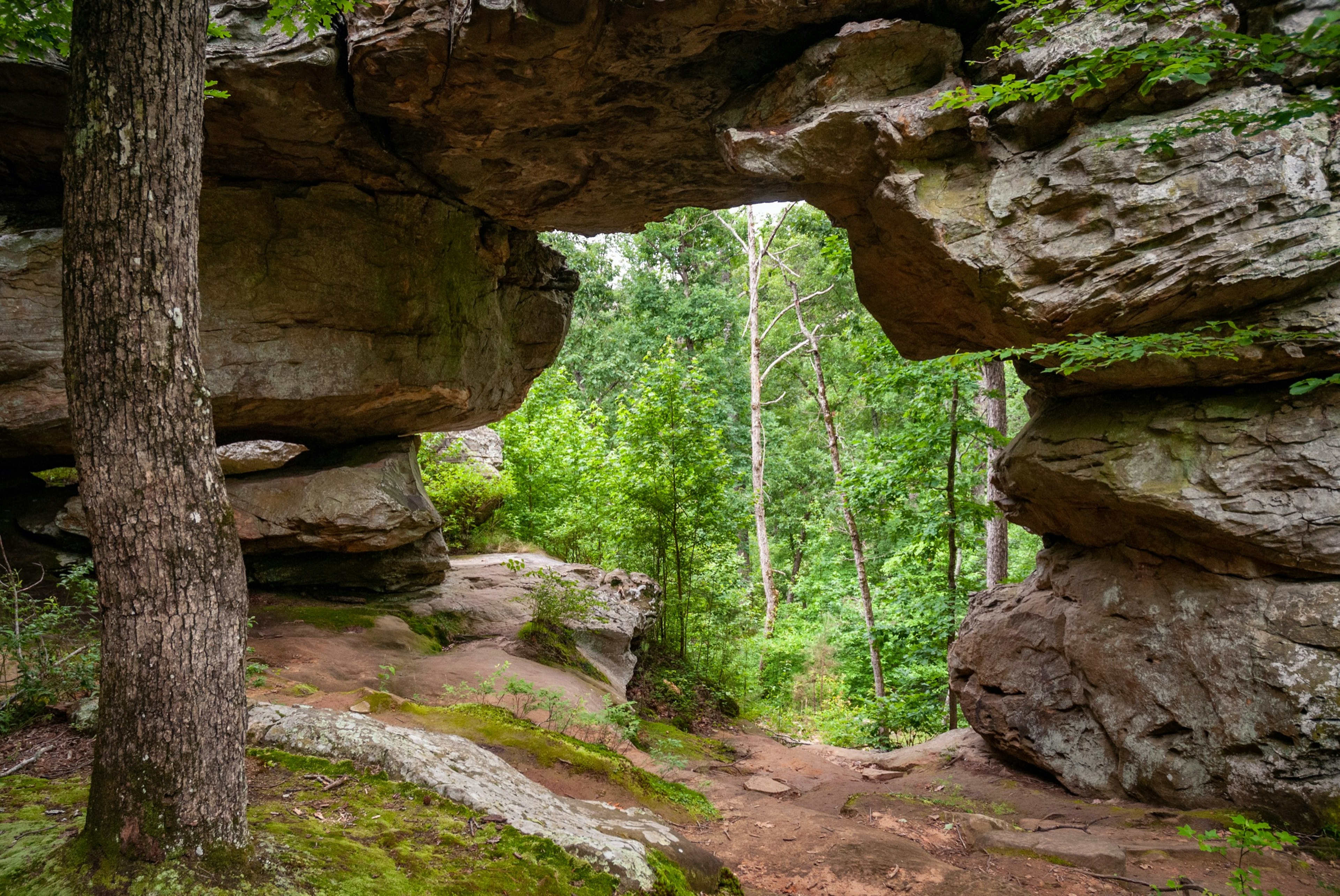 Arkansas_Petit_Jean_Park.jpg