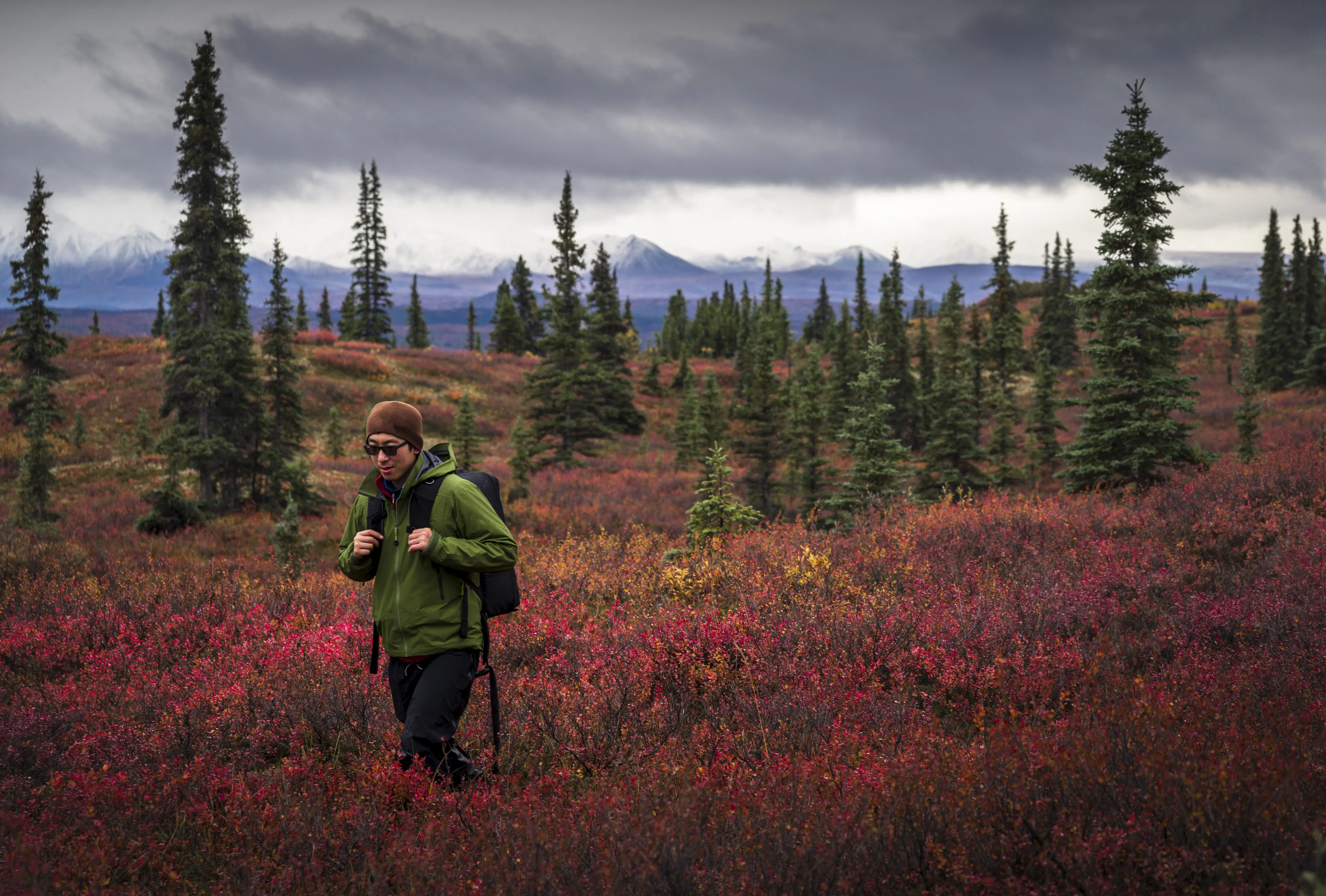 10 of the best hikes in Alaska - Lonely Planet