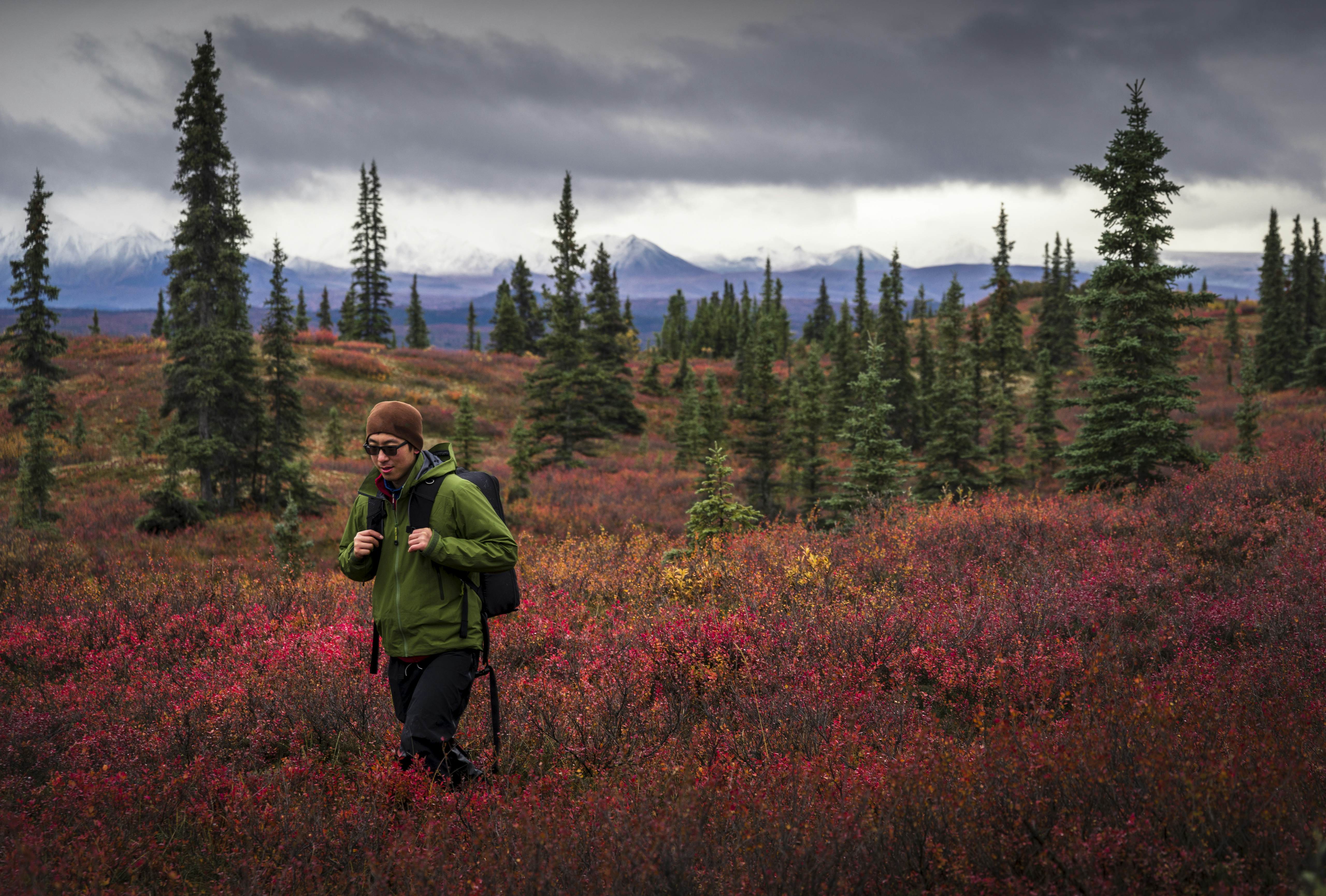 Finding Your Perfect Hike: A Guide To Parking On Alaska’s Hiking Trails