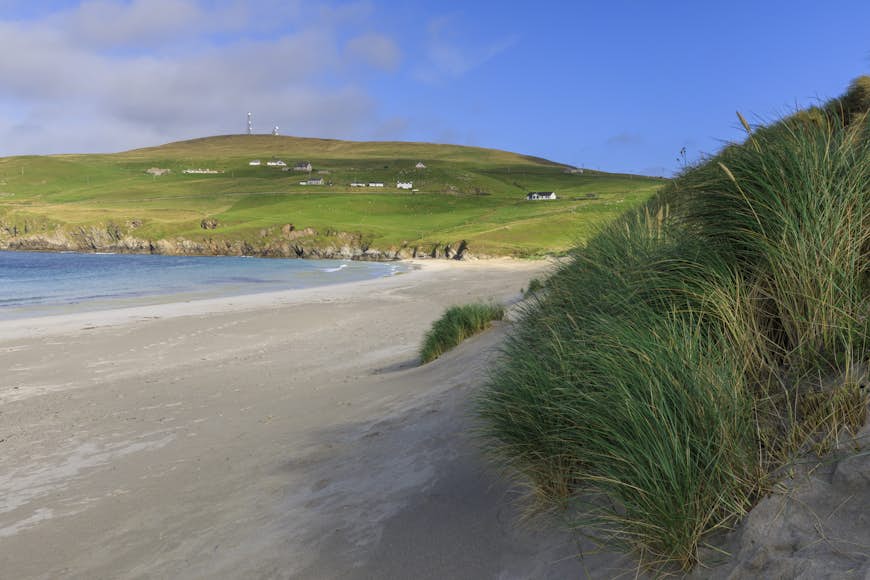 A sand dune-backed beach with a huge green headland