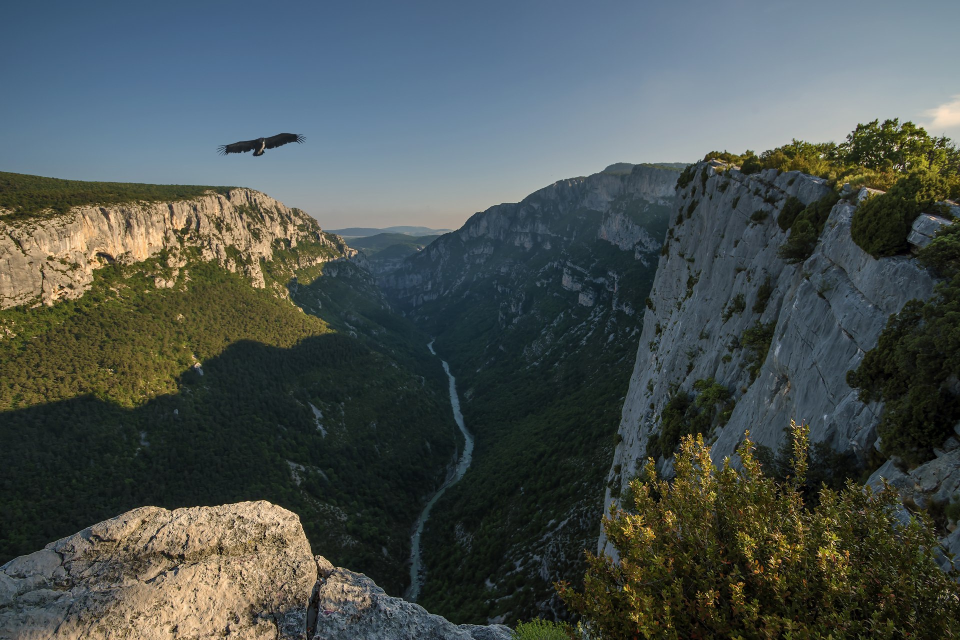 A bird of prey swoops over a huge gorge 