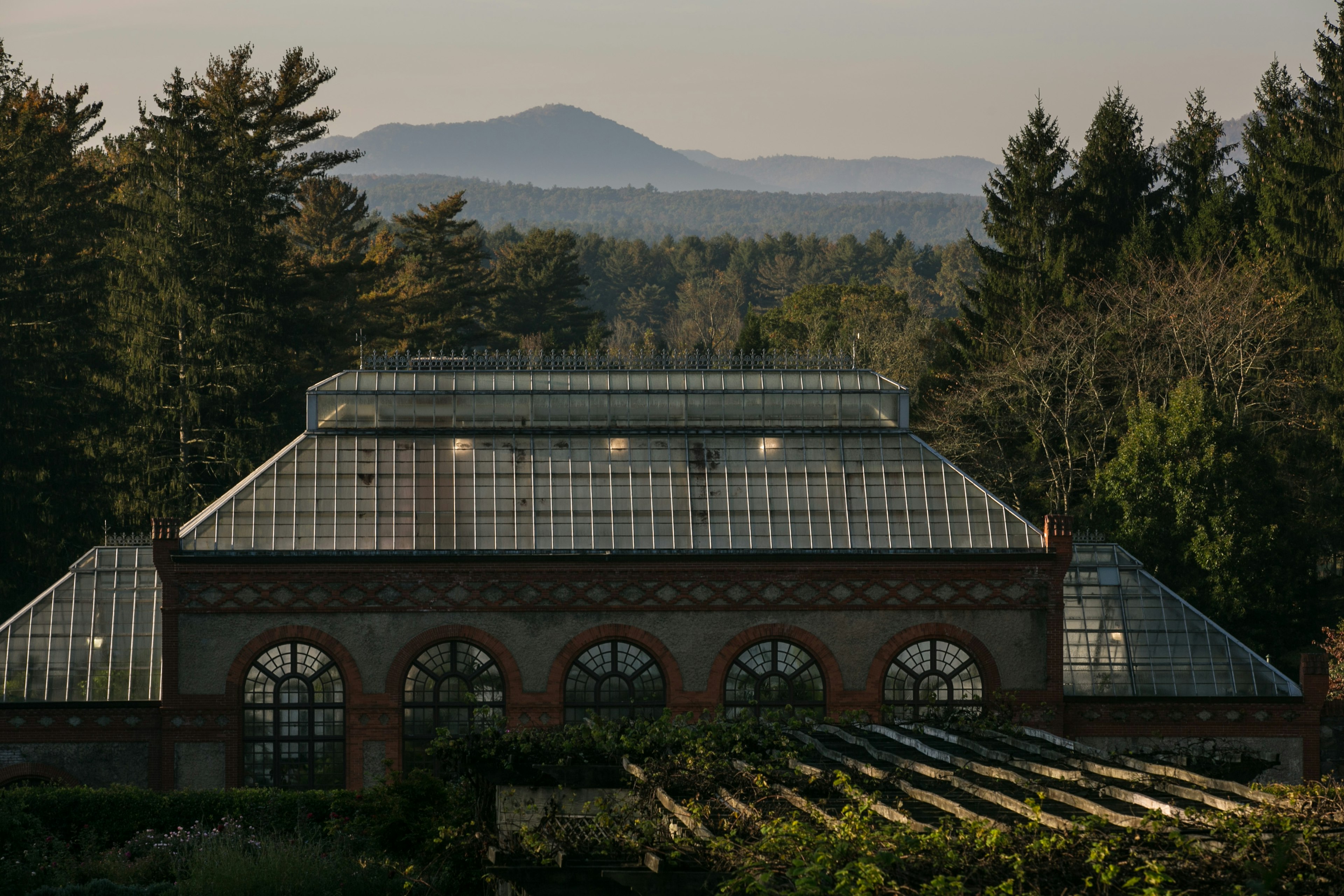 Exploring Asheville's Blue Ridge Mountains