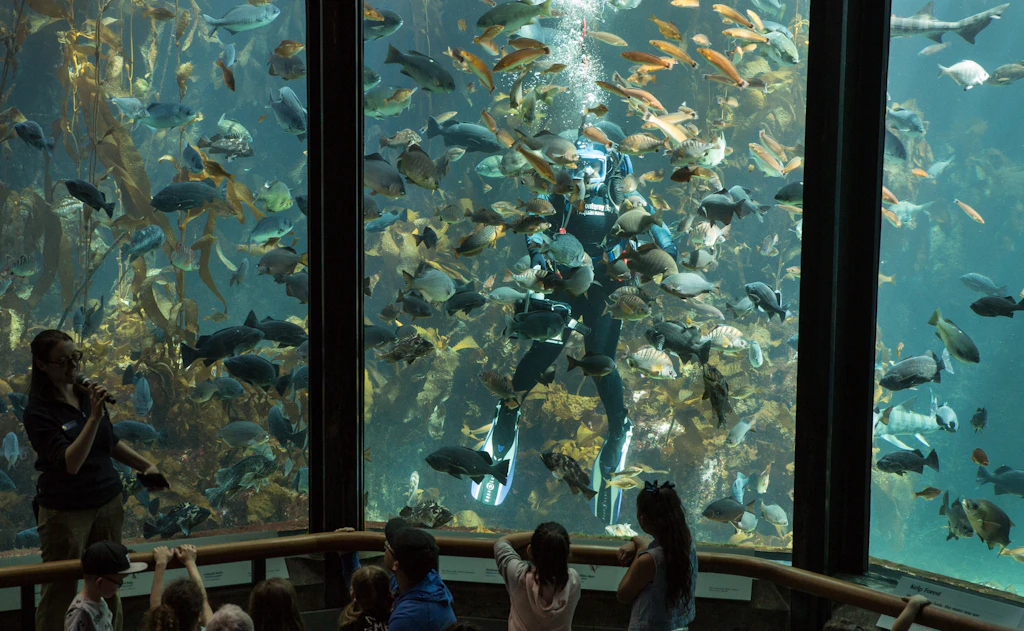 Exploring California's Top Tourist Destinations